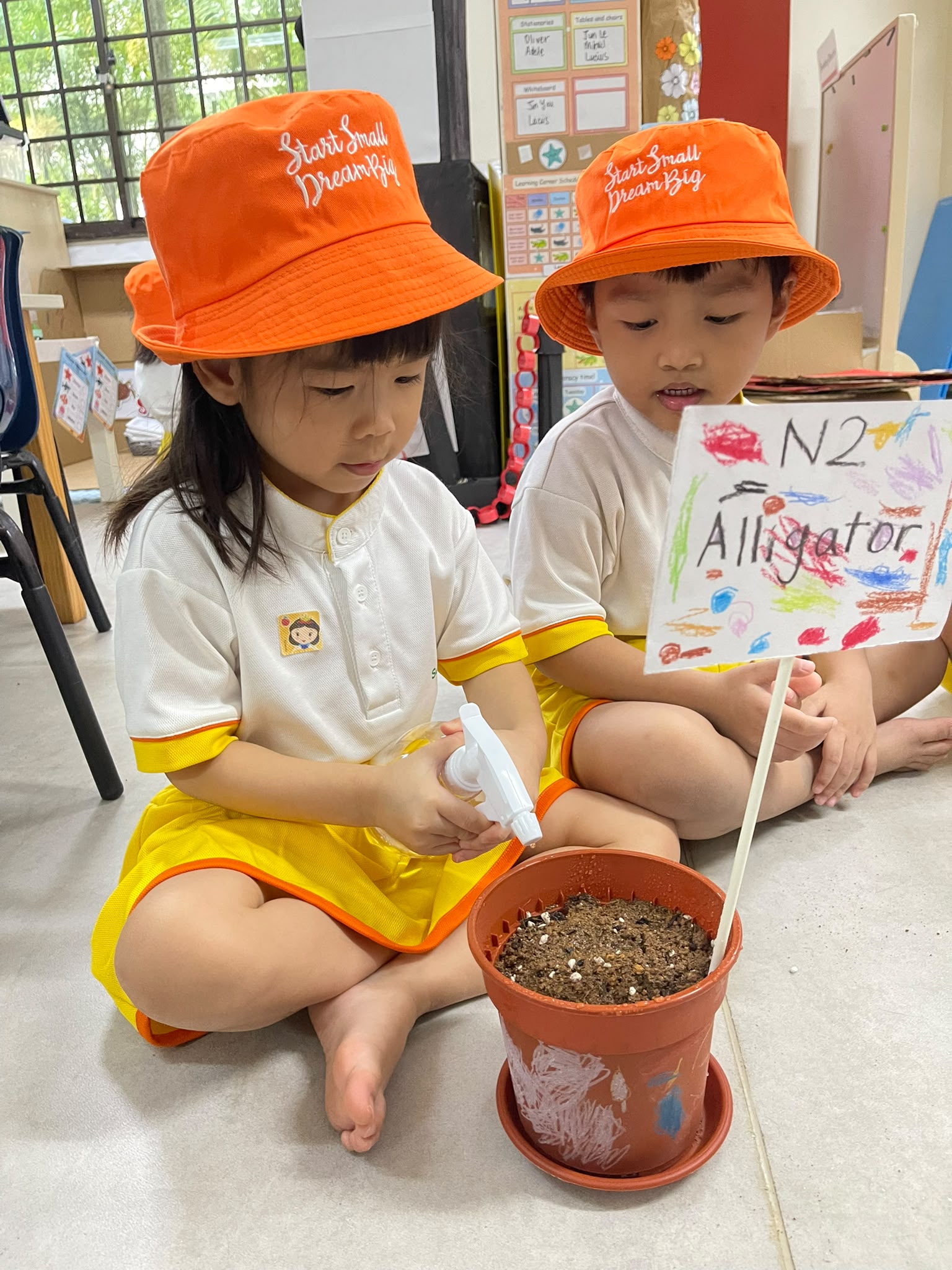 Cherry Tomato Planting — photo 11