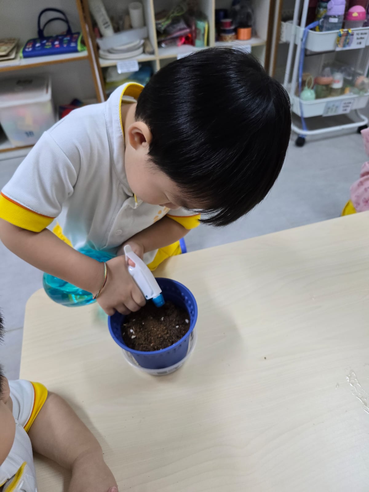 Cherry Tomato Planting — photo 13
