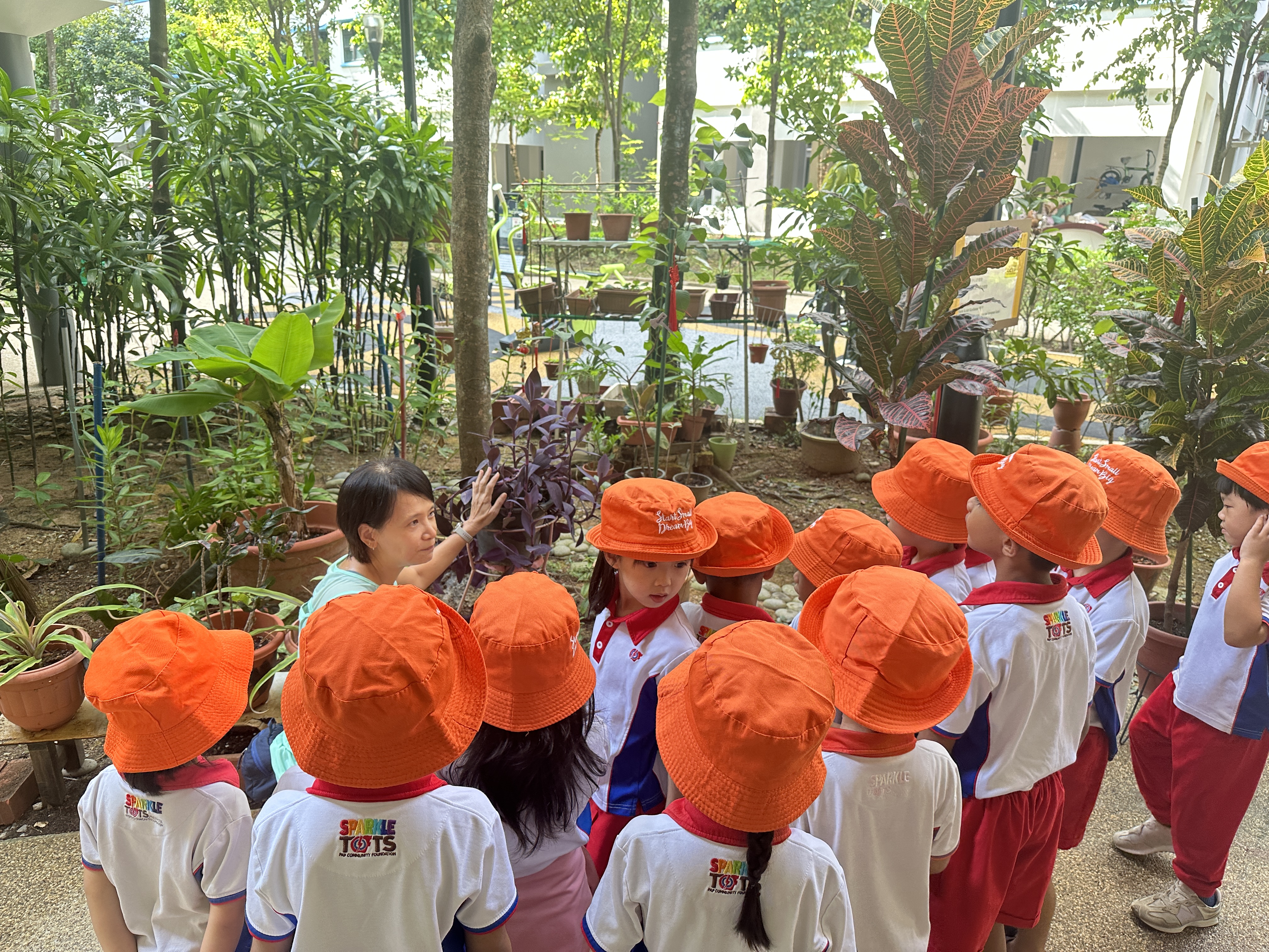 Intergenerational Planting — photo 2