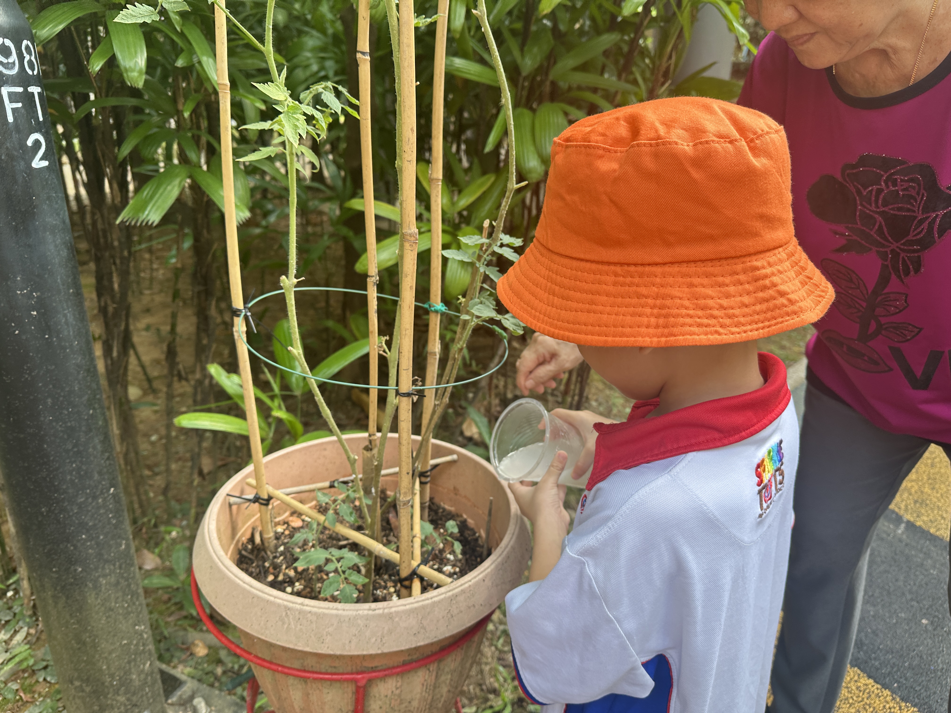 Intergenerational Planting — photo 11