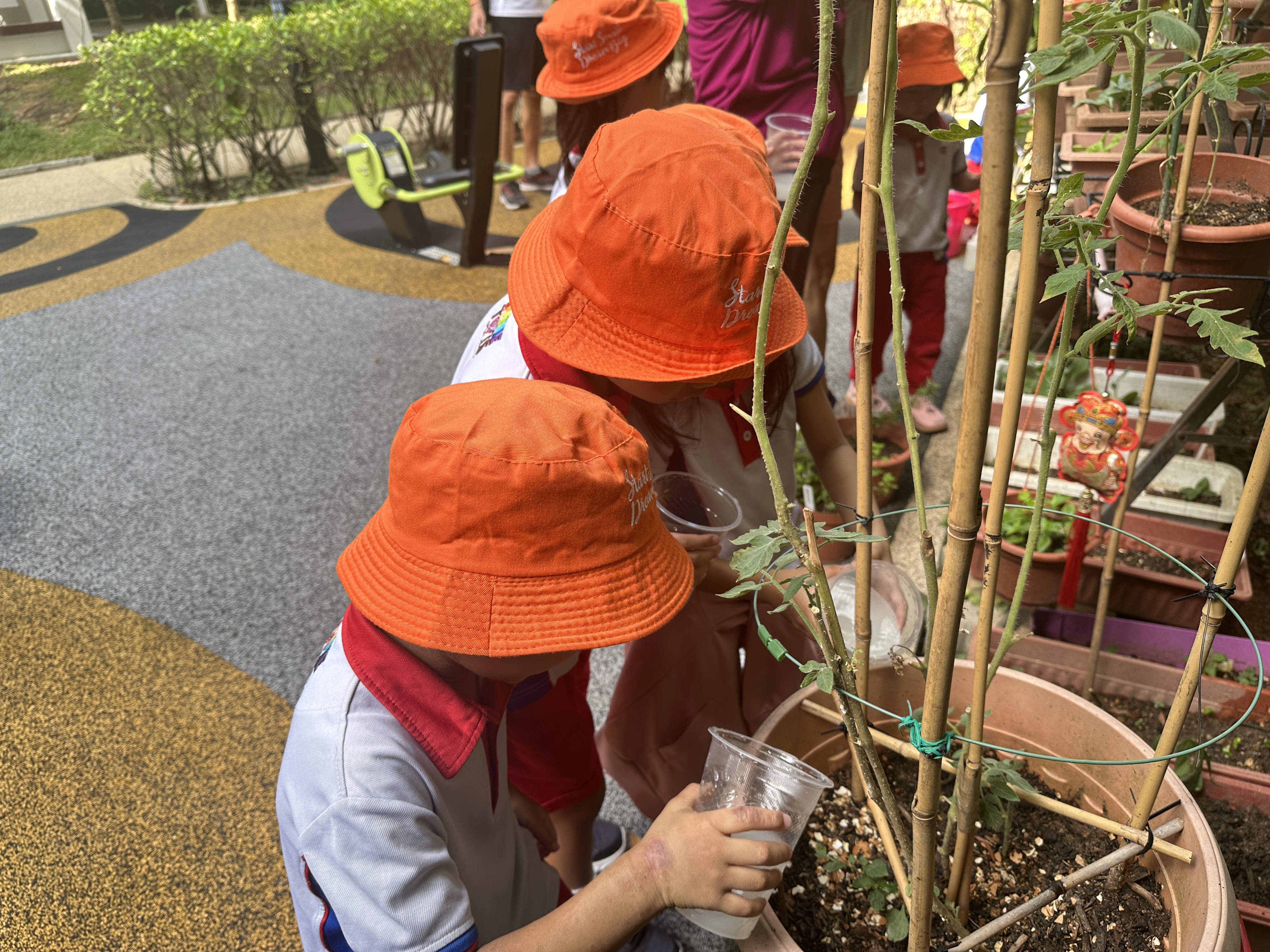 Intergenerational Planting — photo 16