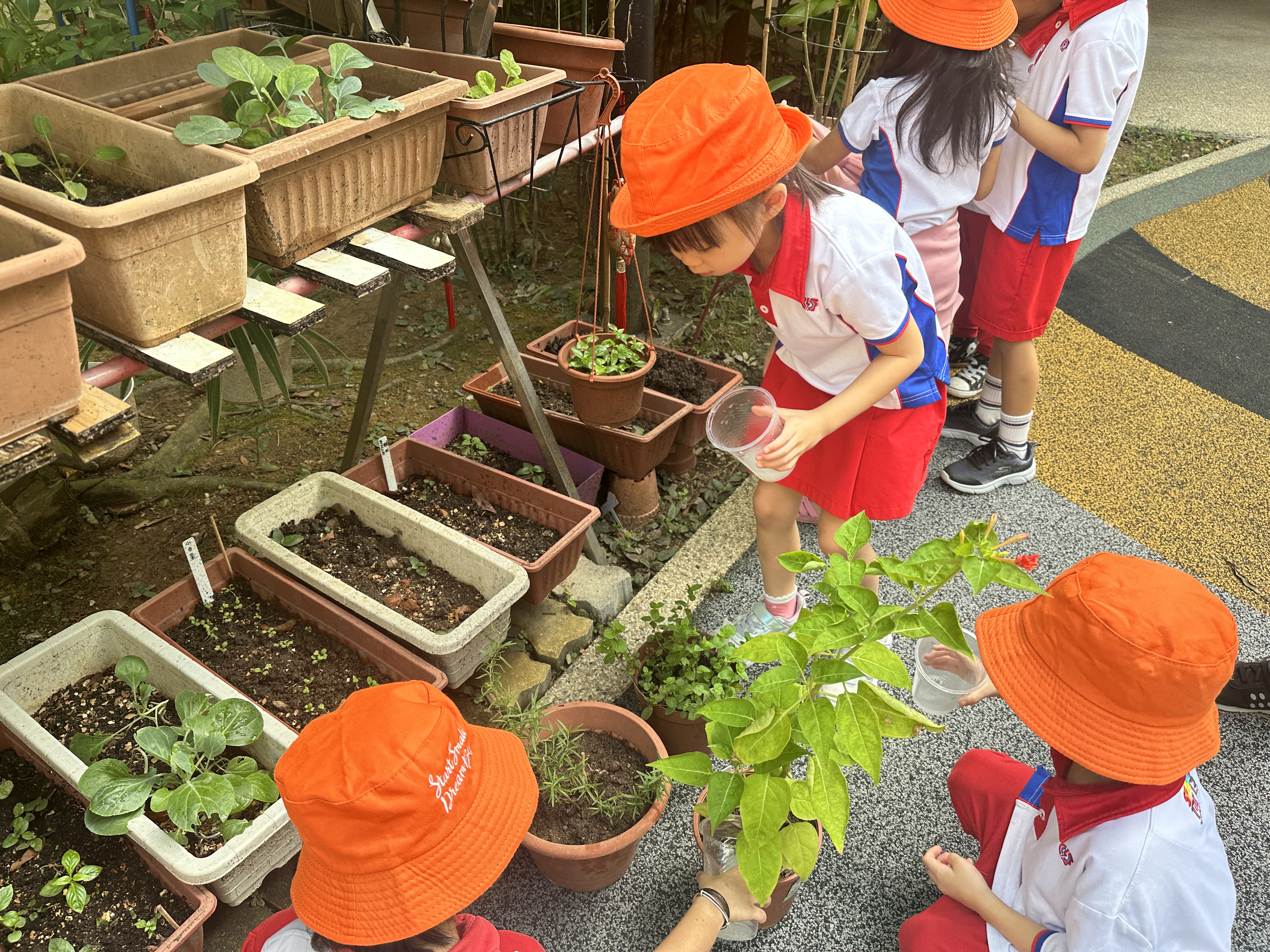 Intergenerational Planting — photo 18