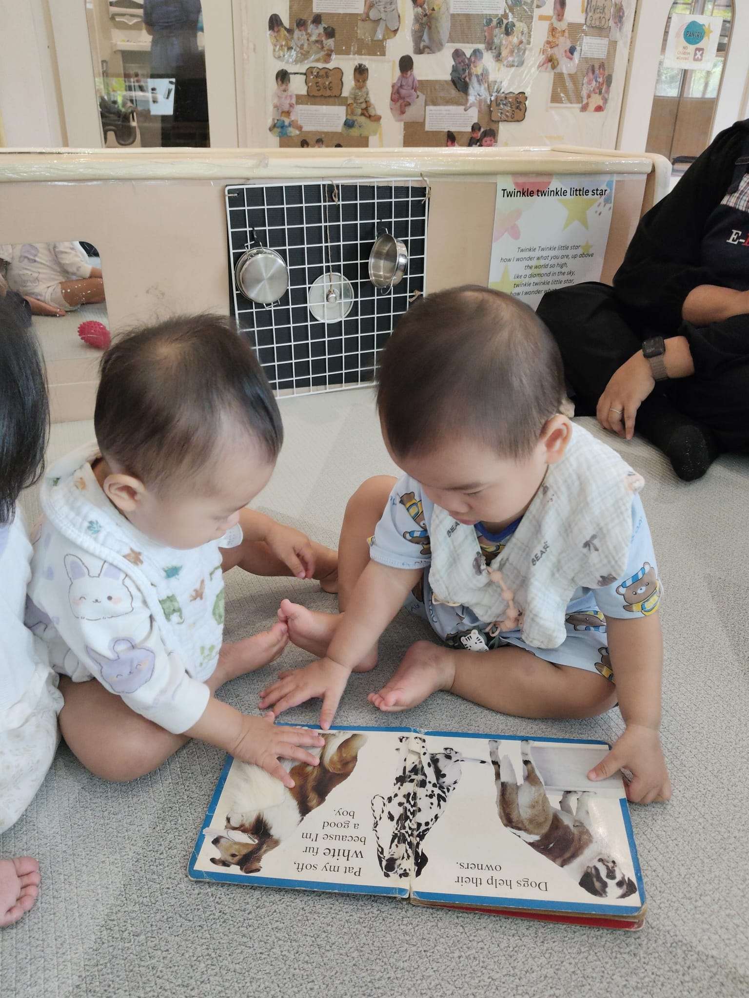 Our Journey on Animal-Human Interactions — photo 2