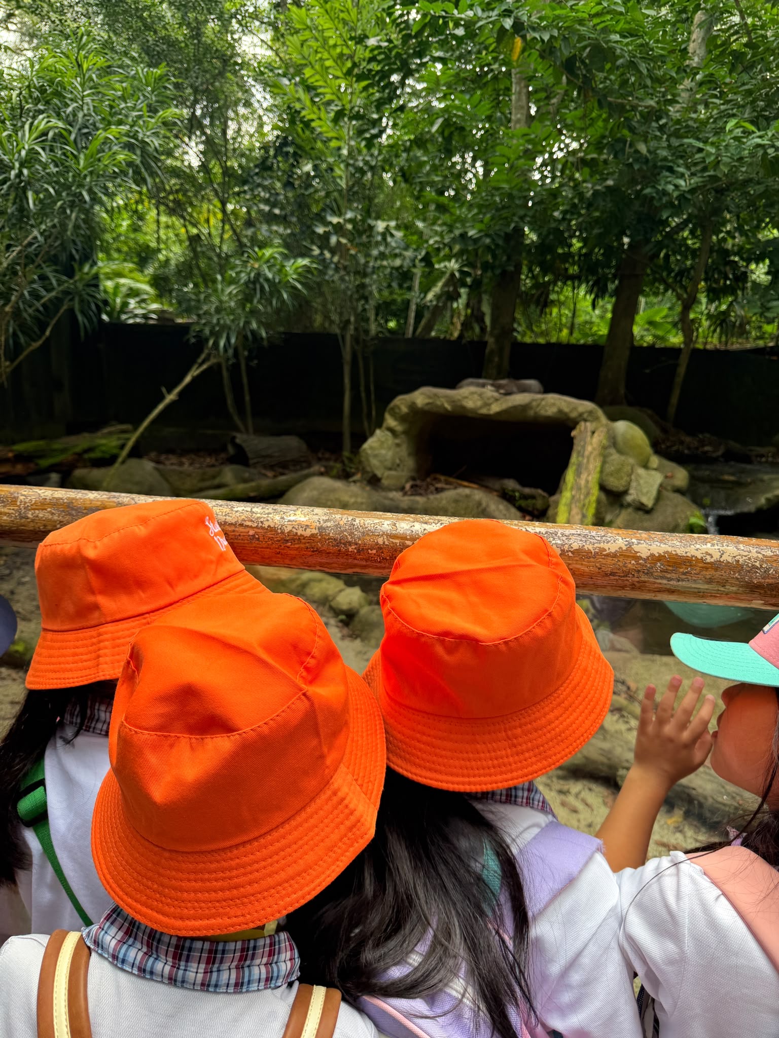 K2s SSDB Journey with Mandai Wildlife Group : Otters — photo 13