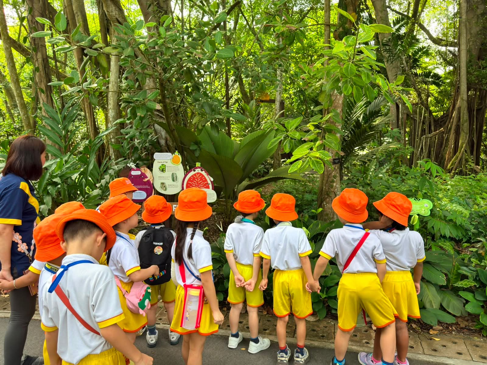 走进Jacob Ballas Children's Garden实地探索之旅 — photo 5