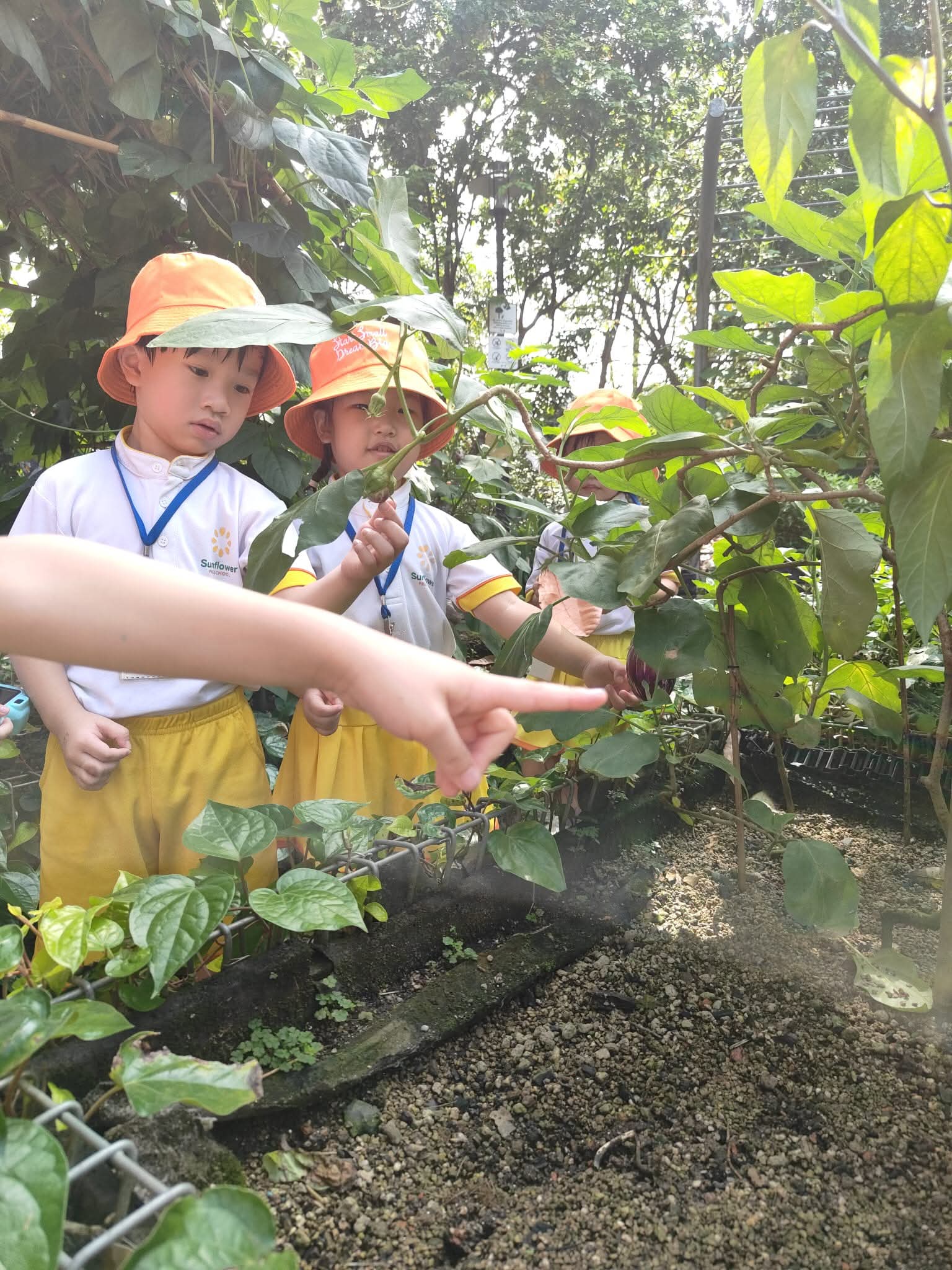 走进Jacob Ballas Children's Garden实地探索之旅 — photo 12