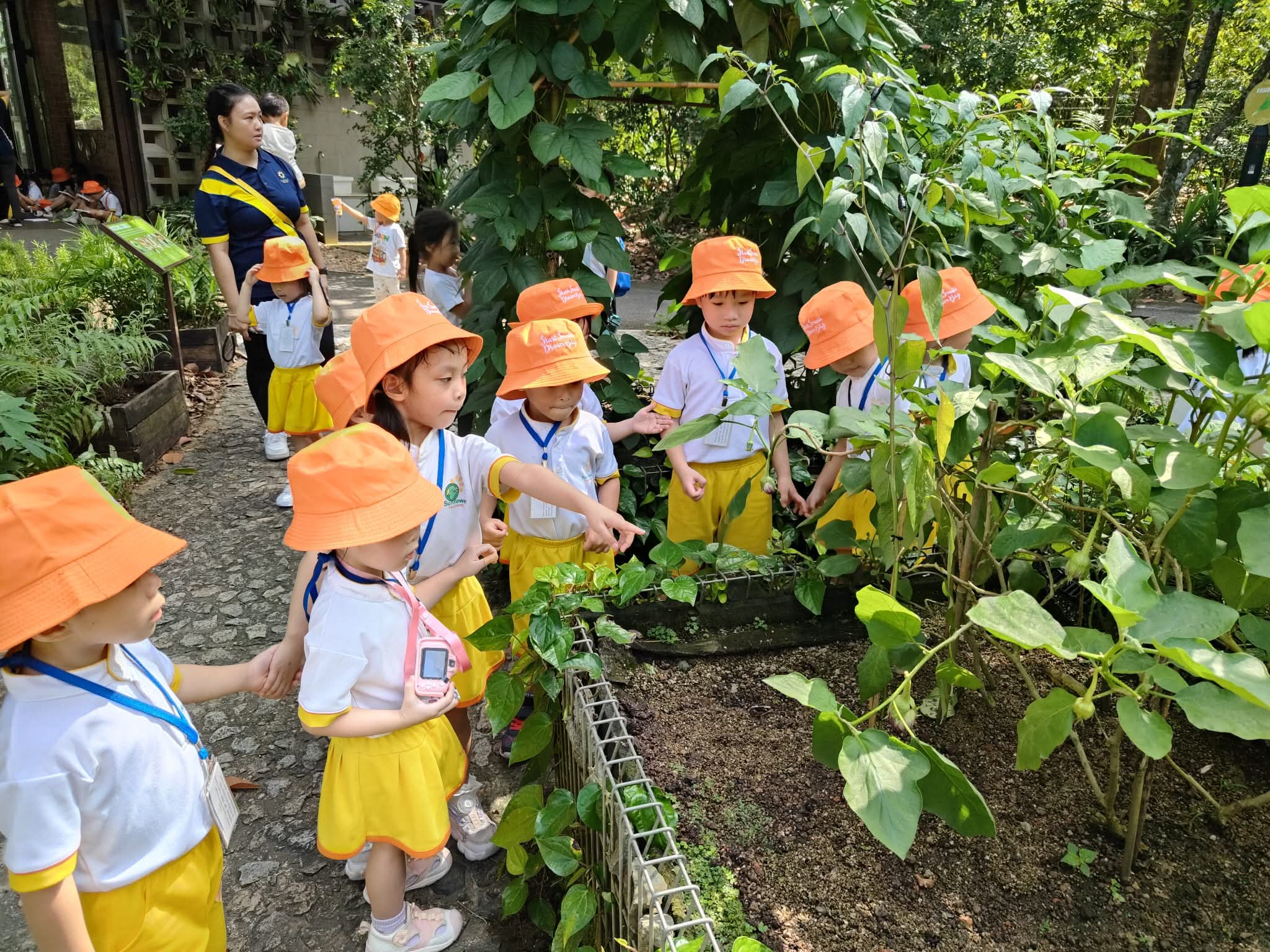 走进Jacob Ballas Children's Garden实地探索之旅 — photo 13