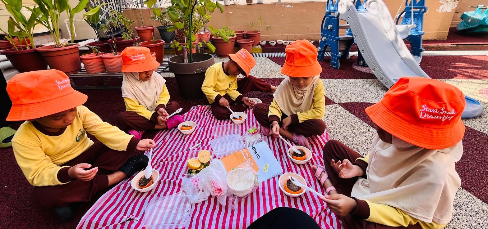 Growing Sustainably with Citrus
