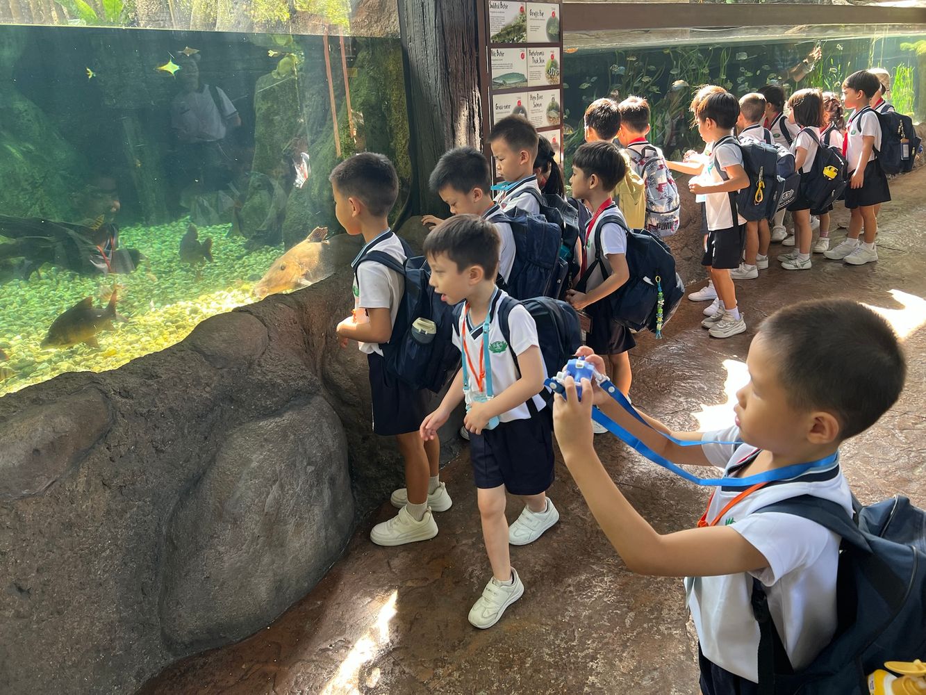 Learning about Pandan bears — photo 3