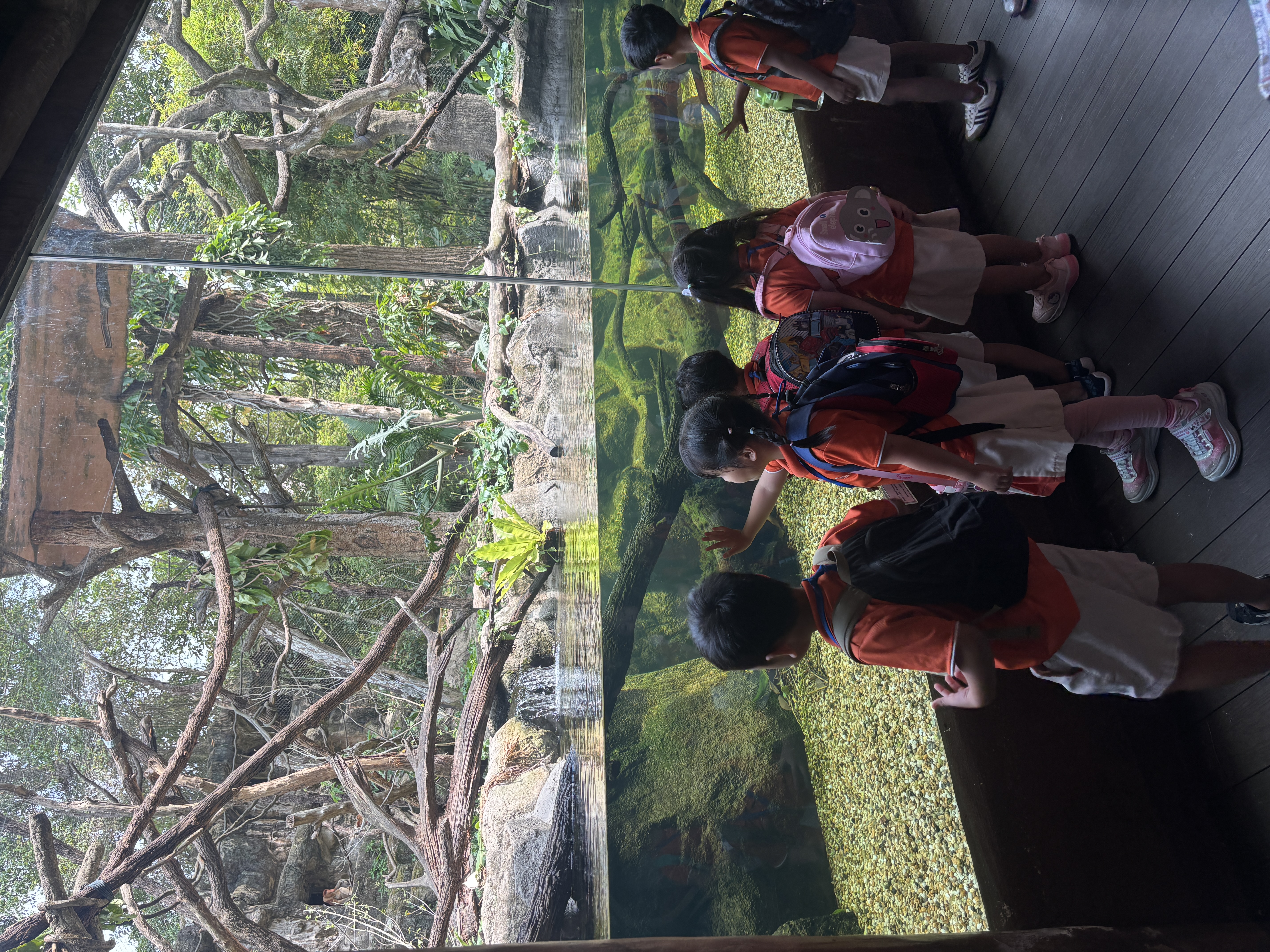 Learning Journey to Mandai Wildlife Park