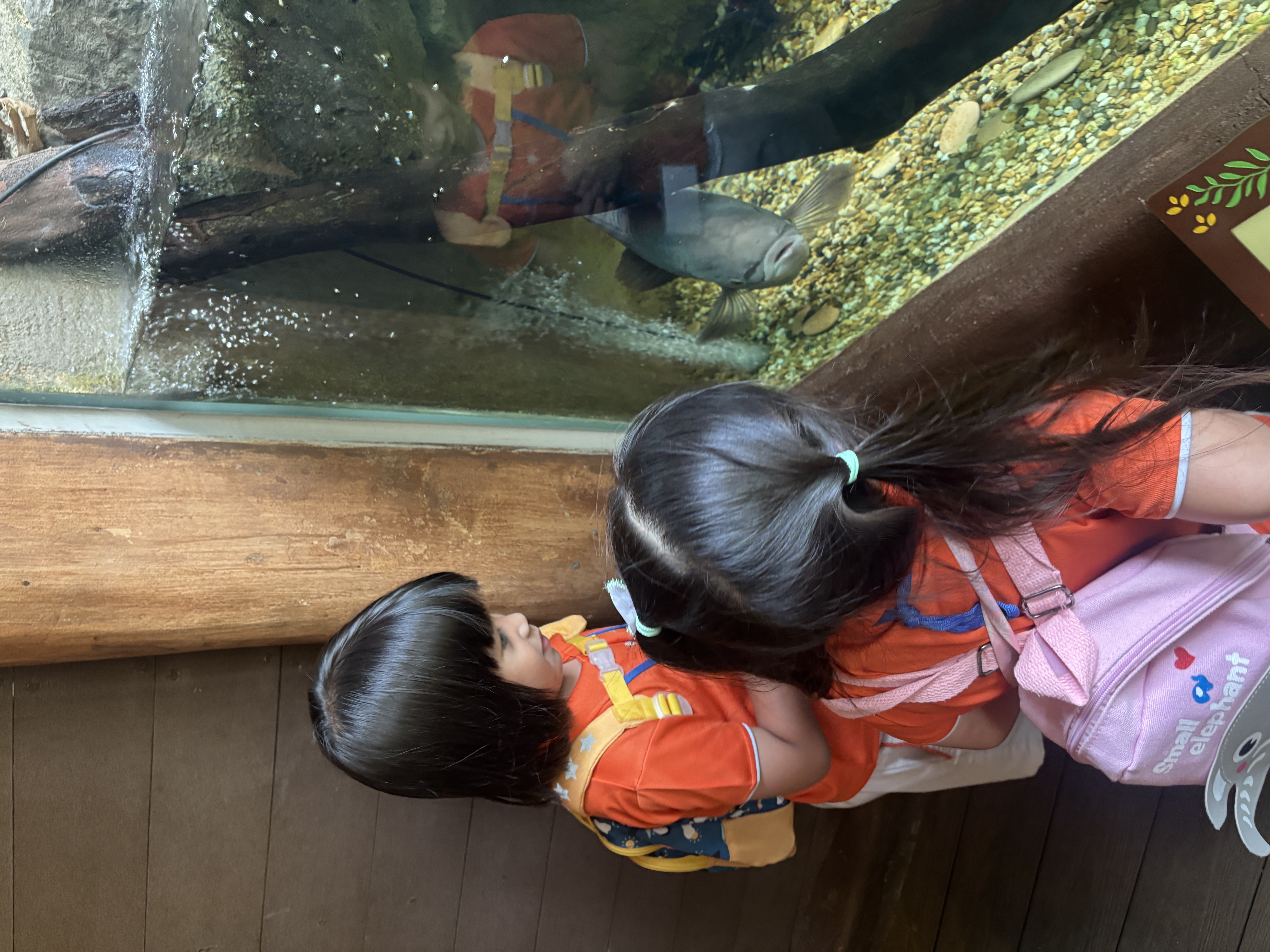 Learning Journey to Mandai Wildlife Park — photo 10