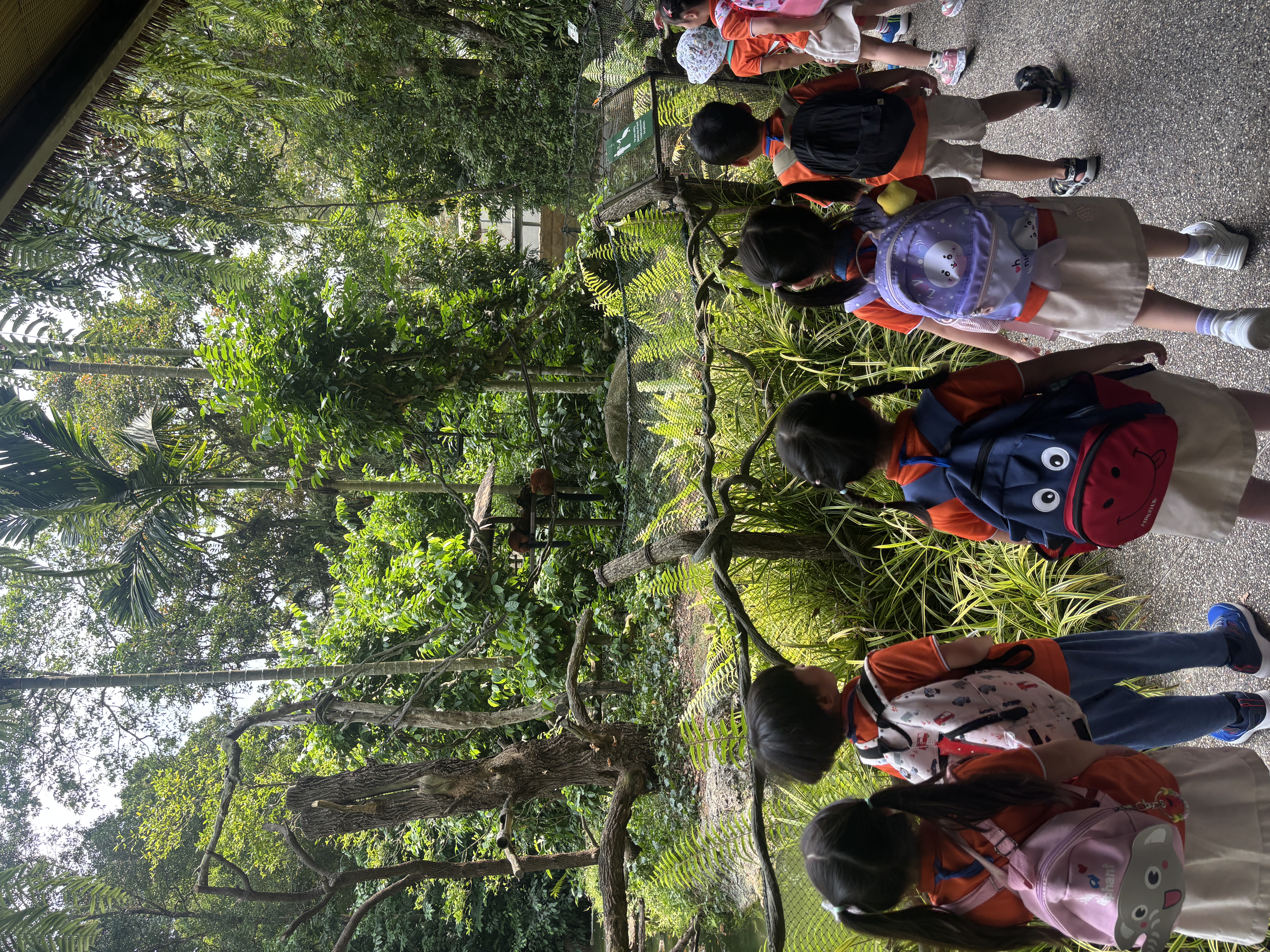Learning Journey to Mandai Wildlife Park — photo 13
