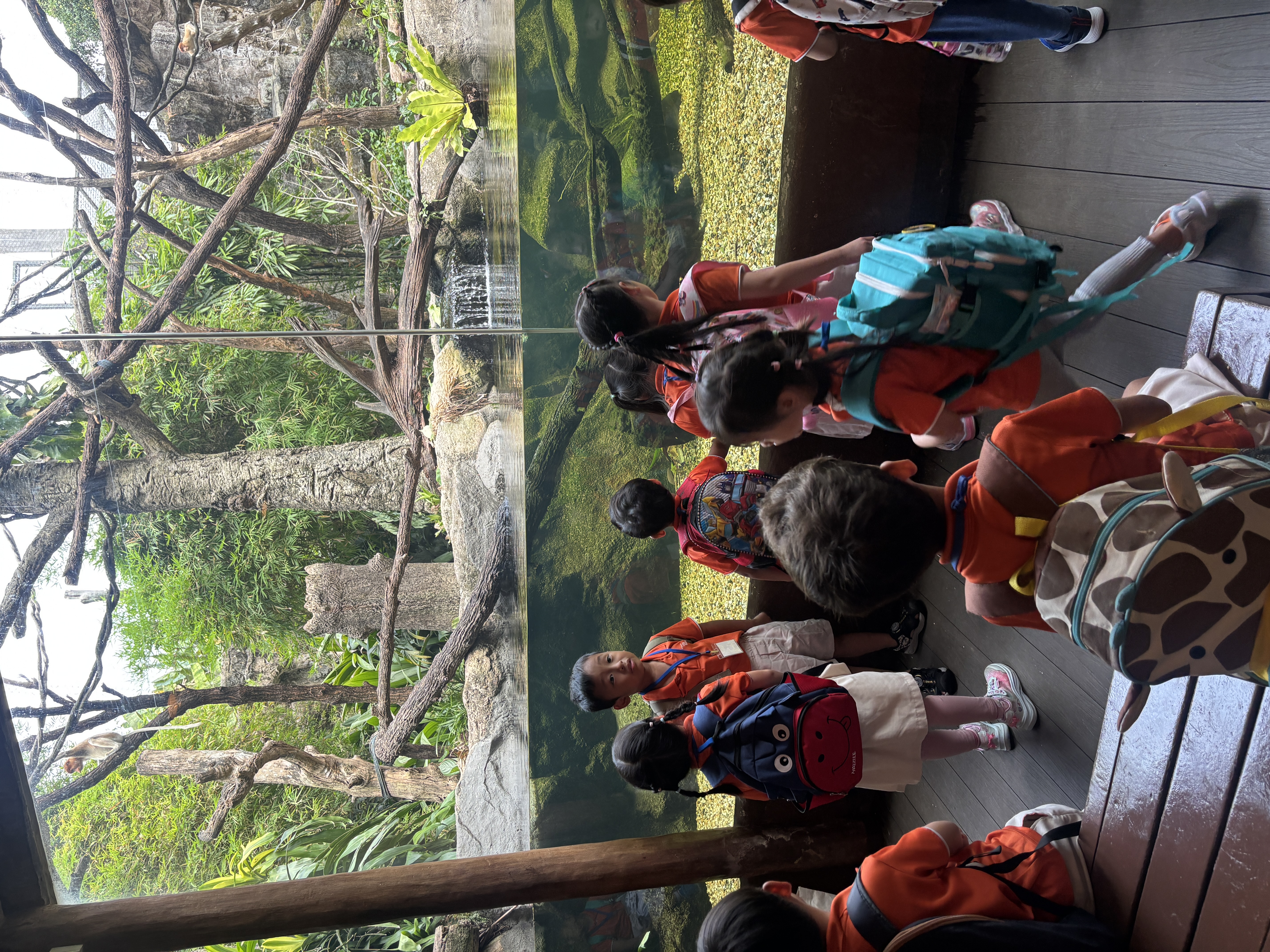 Learning Journey to Mandai Wildlife Park — photo 15