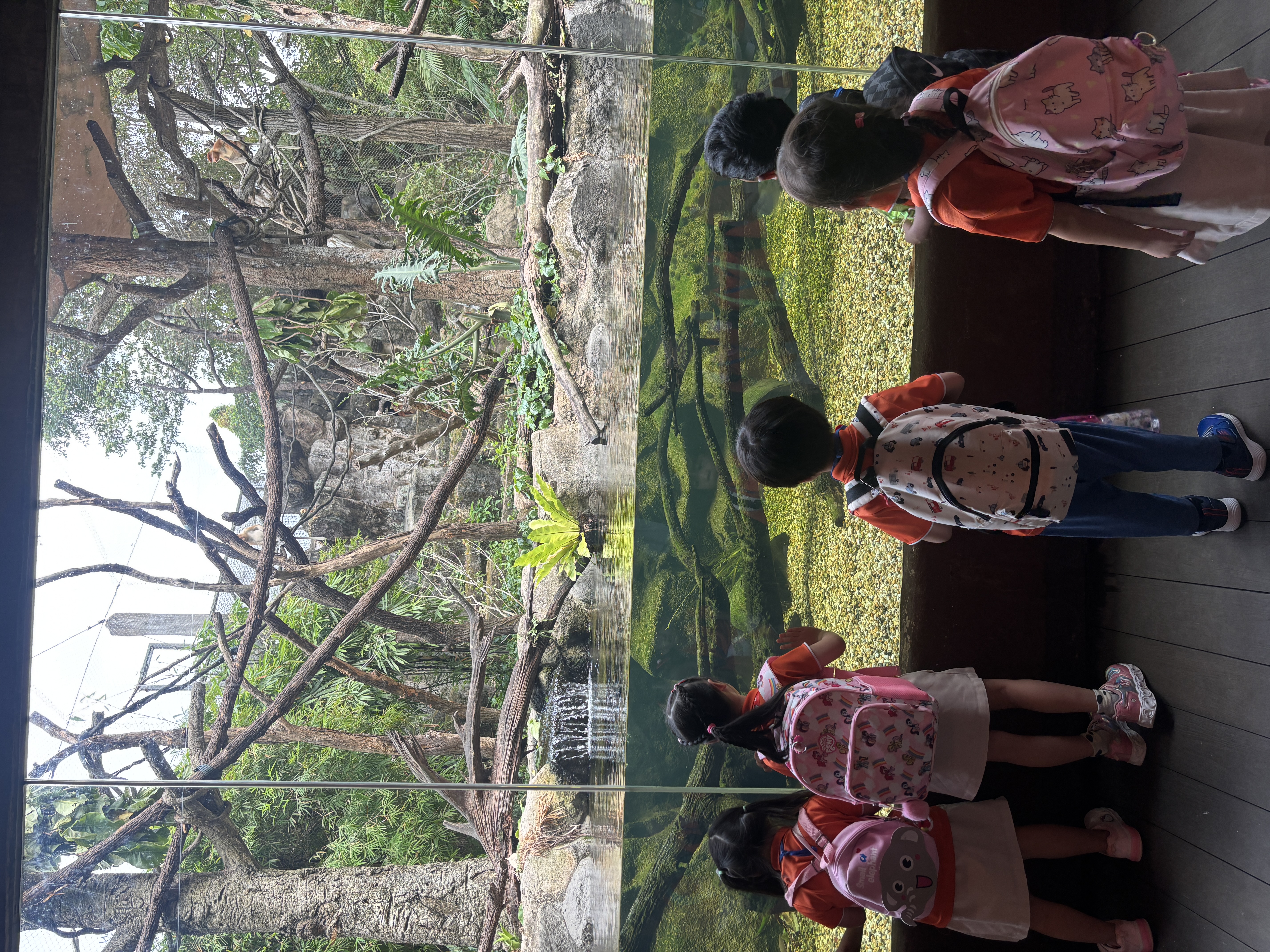 Learning Journey to Mandai Wildlife Park — photo 16