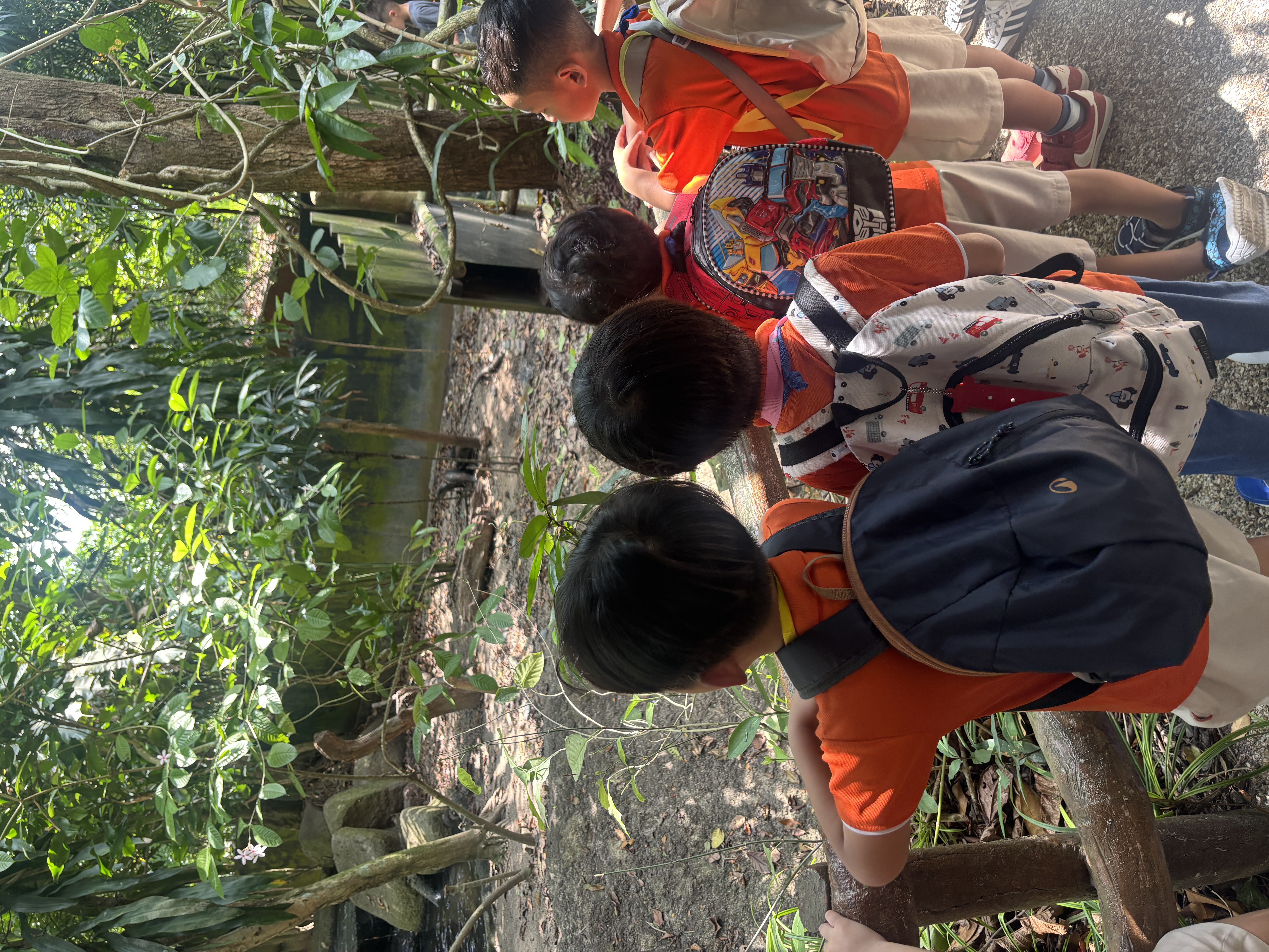 Learning Journey to Mandai Wildlife Park — photo 20