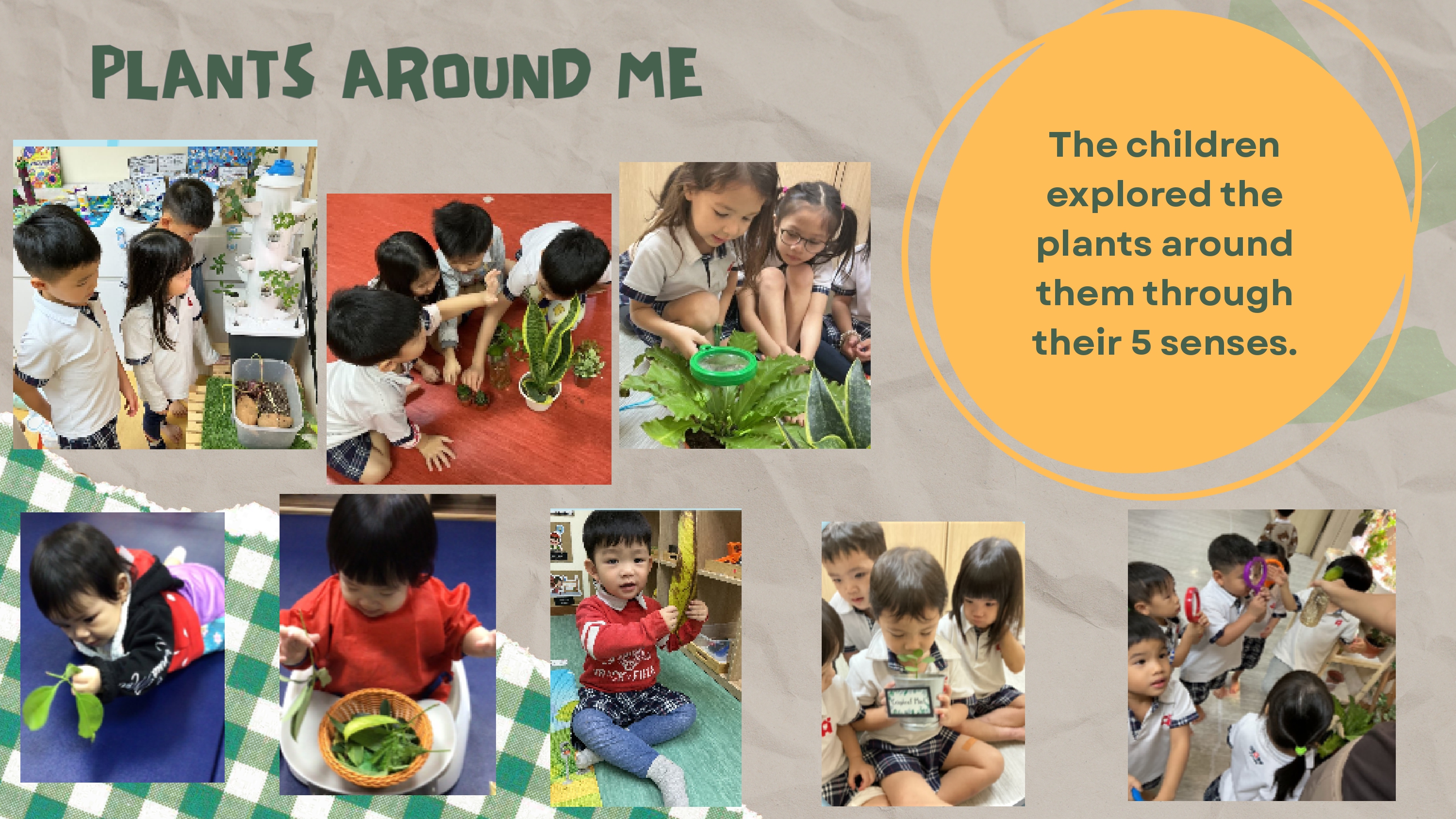Agape Little Uni Cecil - "Go Green, Little Hands" — photo 4