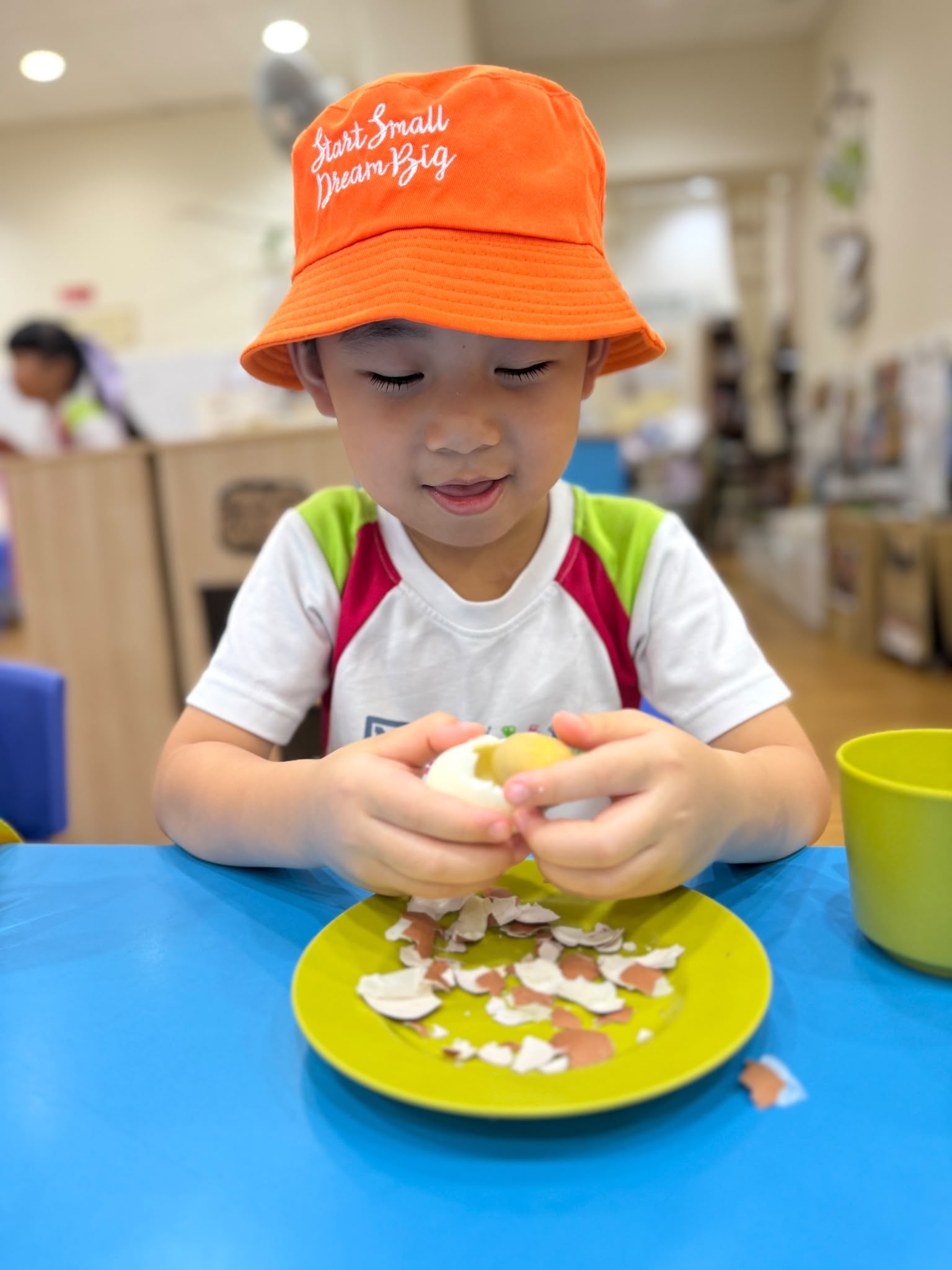 Little Eco-Warriors: Nourishing Our Garden with Eggshell Calcium​ — photo 3