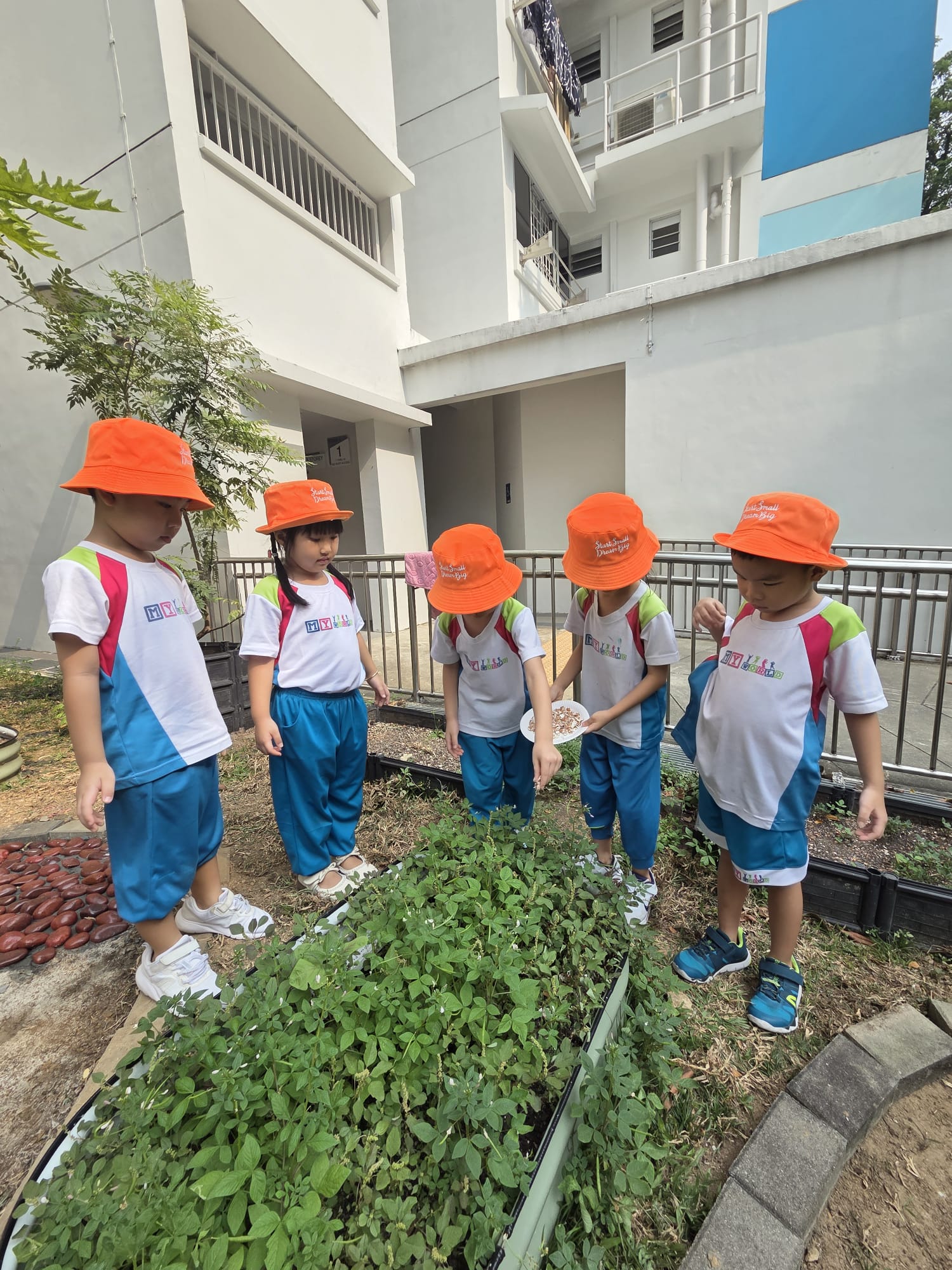 Little Eco-Warriors: Nourishing Our Garden with Eggshell Calcium​ — photo 8