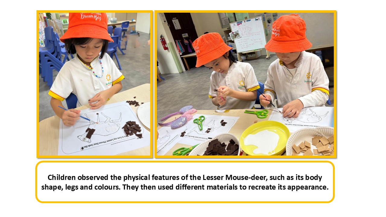 Wild Neighbours:  Living with Singapore’s Native Animals — photo 4