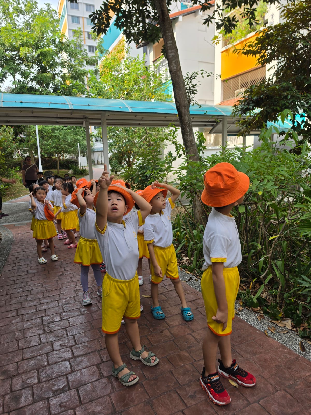 A collaboration with NParks: Botanic Gardens - Fascinating Creatures Talk 2026 — photo 8