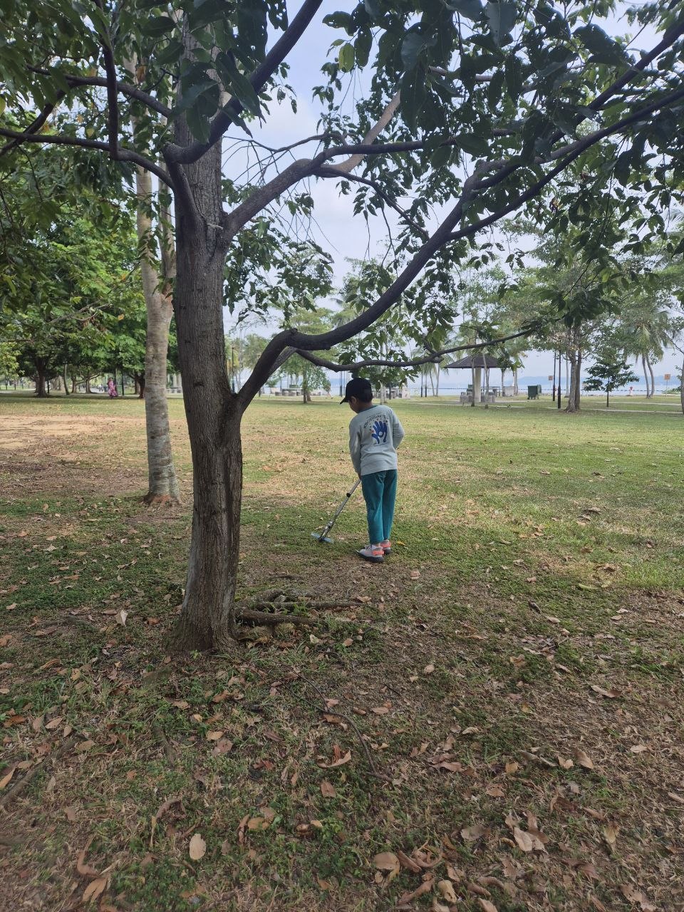 Our Eco-Hero Journey — photo 16