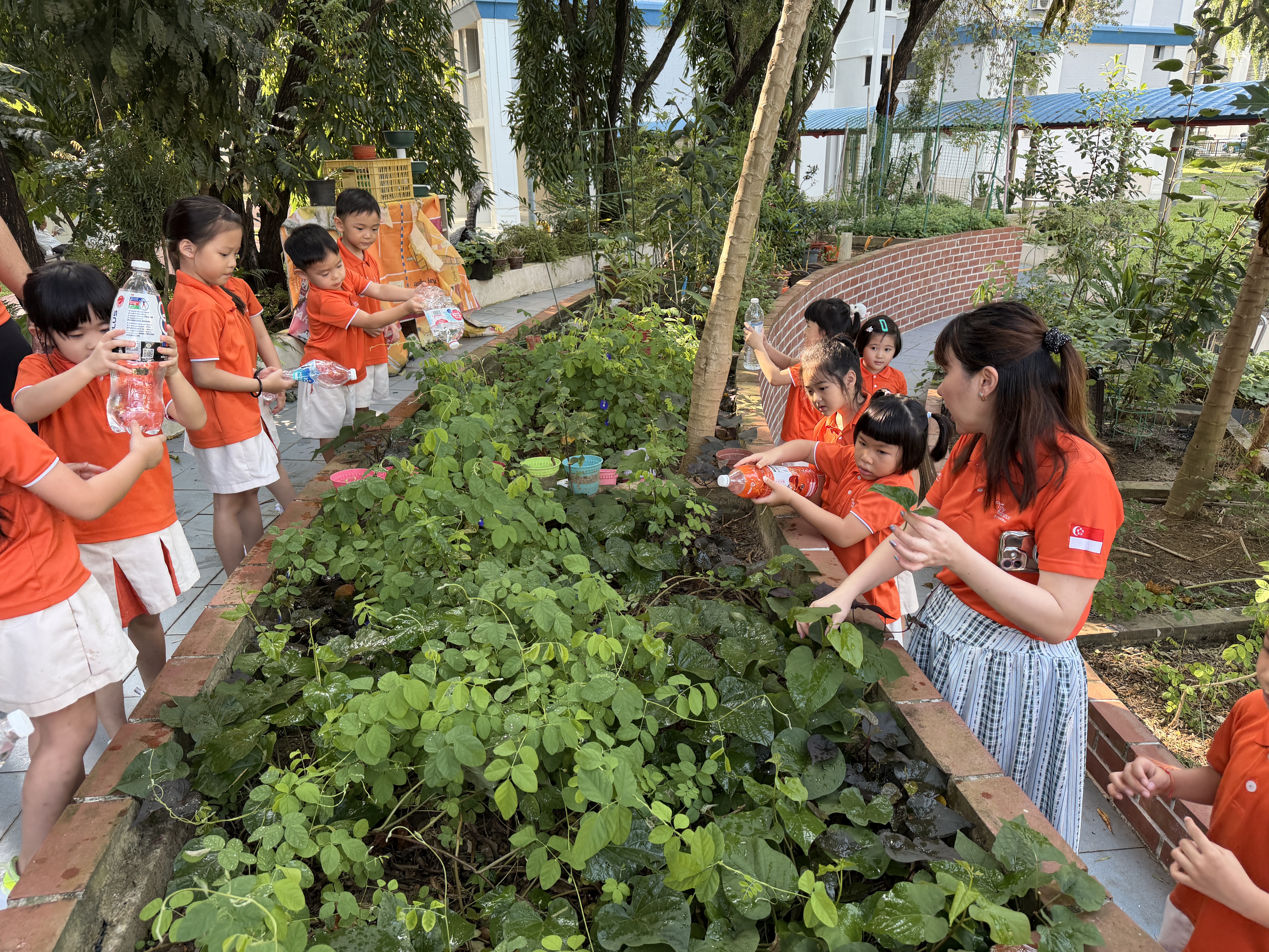 🪴 Start Small Dream Big Project: From Garden to Table 🪏 — photo 11