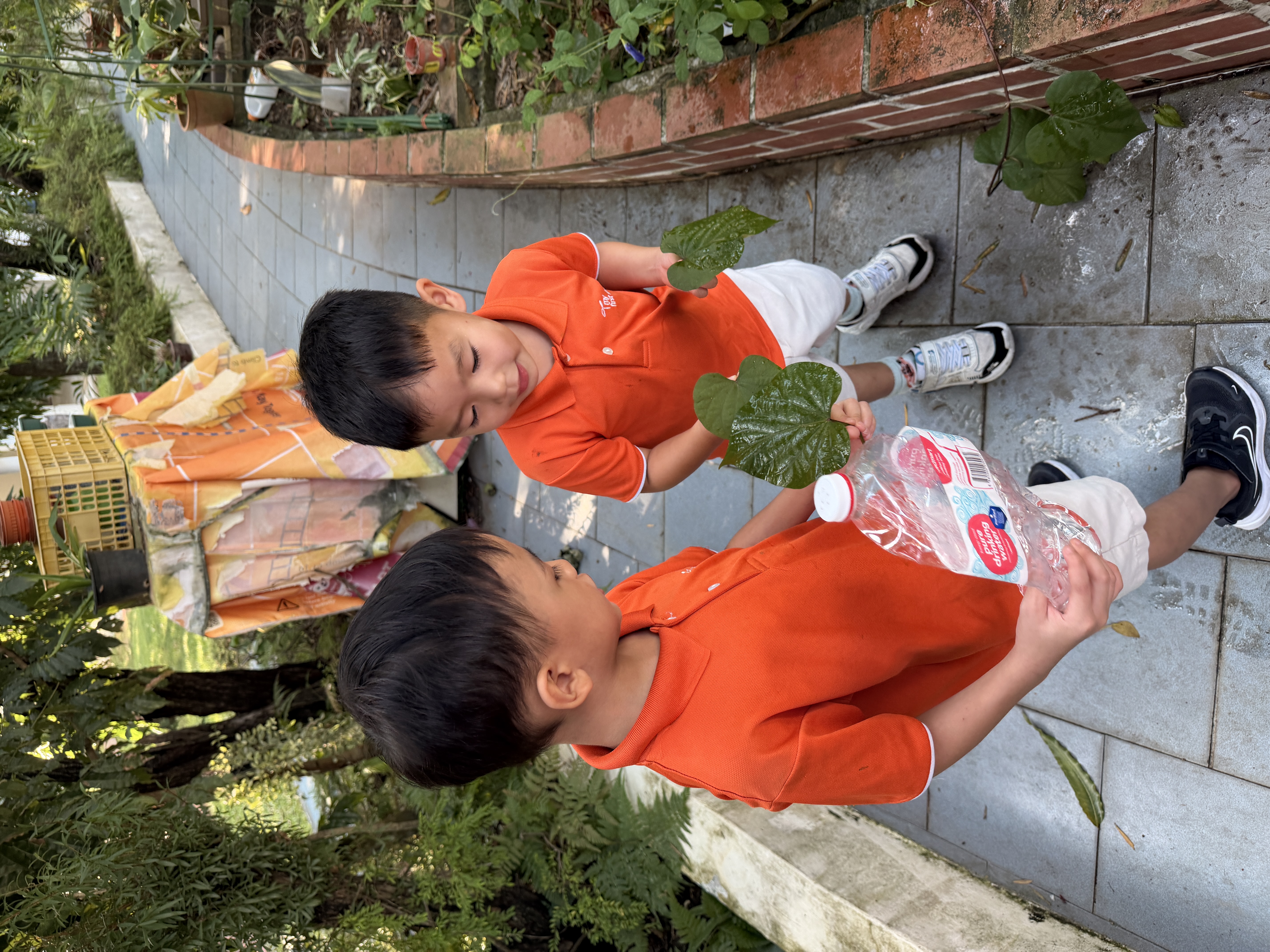 🪴 Start Small Dream Big Project: From Garden to Table 🪏 — photo 12