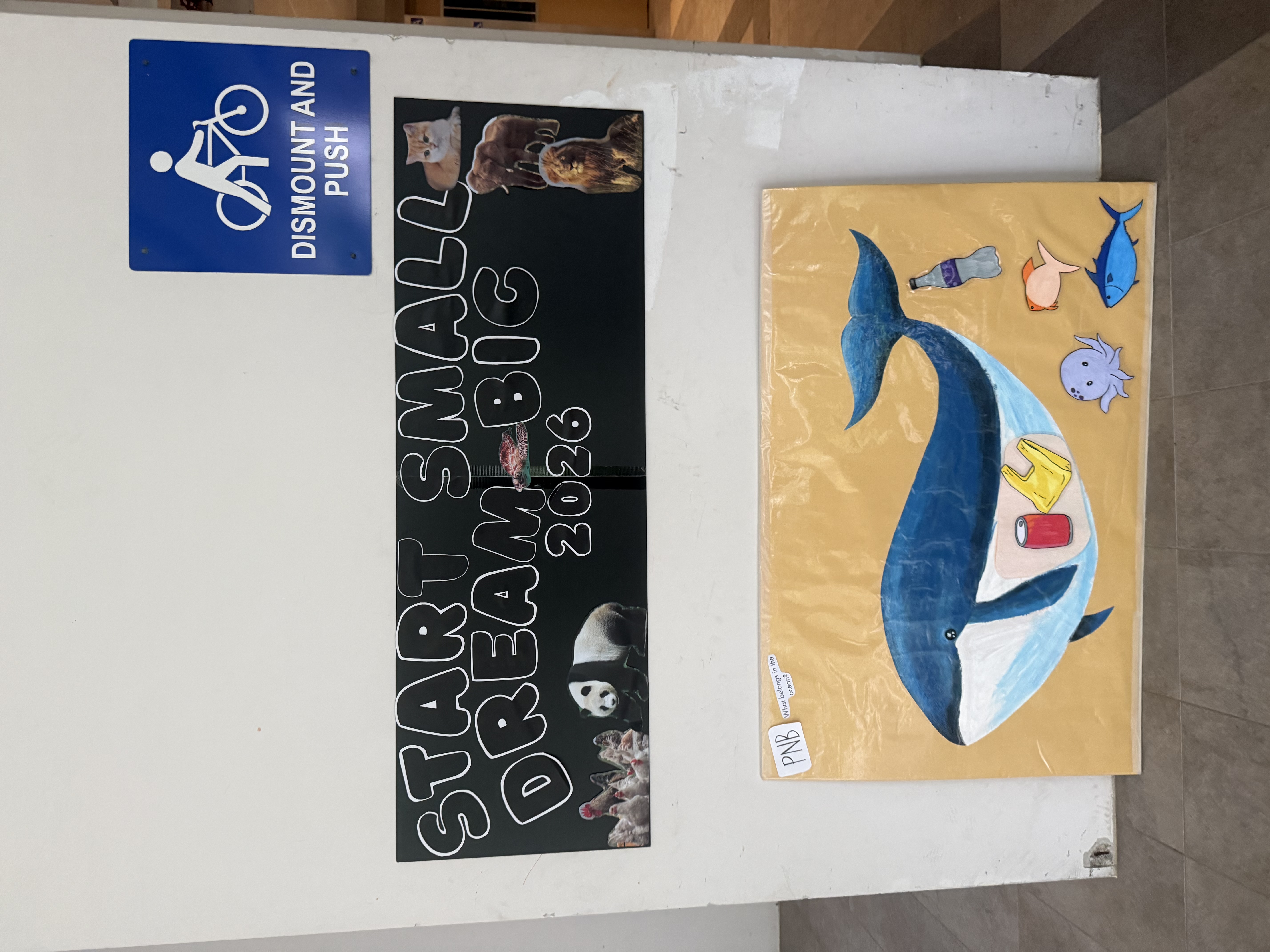 Celebrating Our SSDB Journey — photo 3