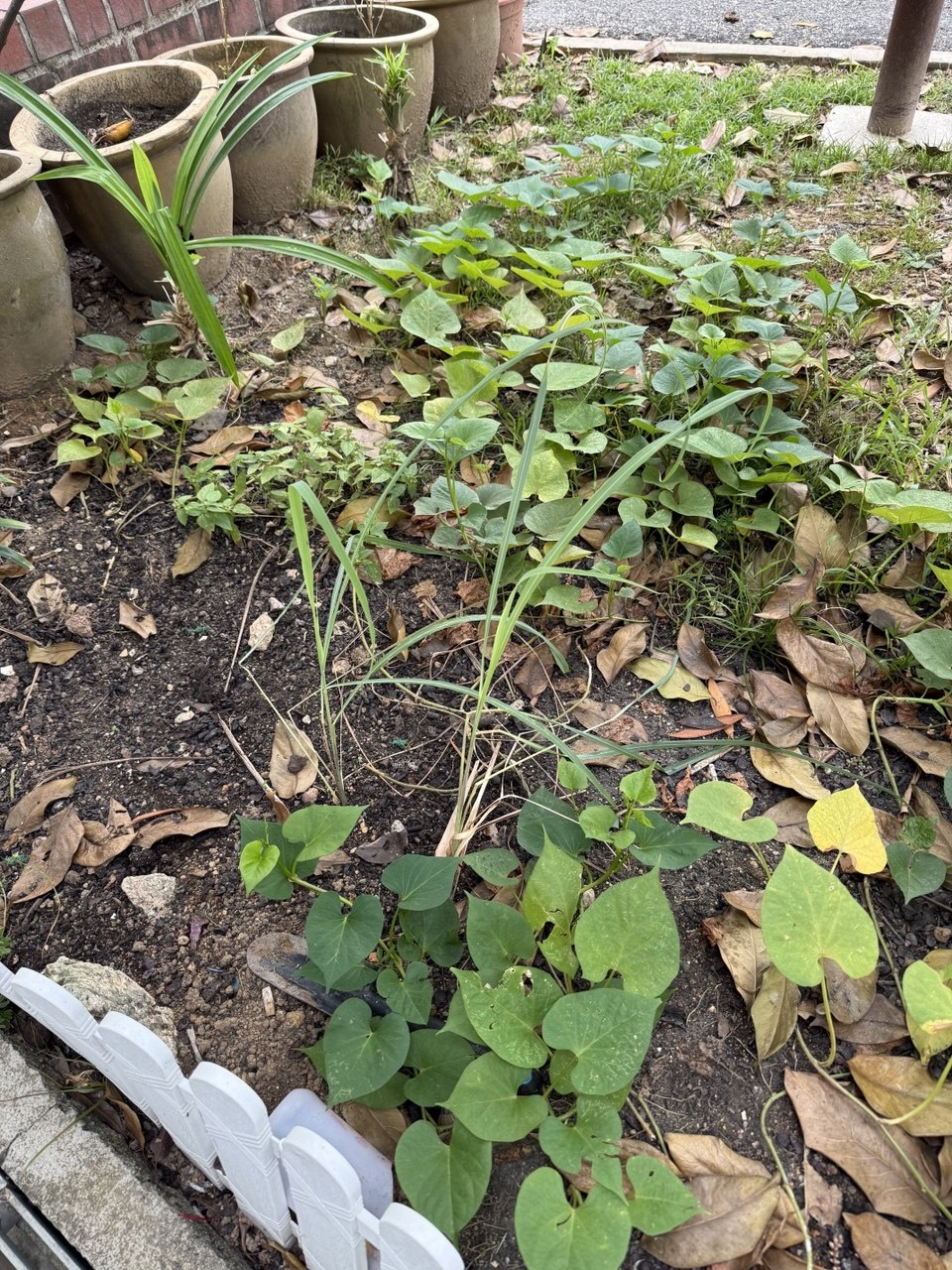 Little Roots, Big Love Workshop — photo 10