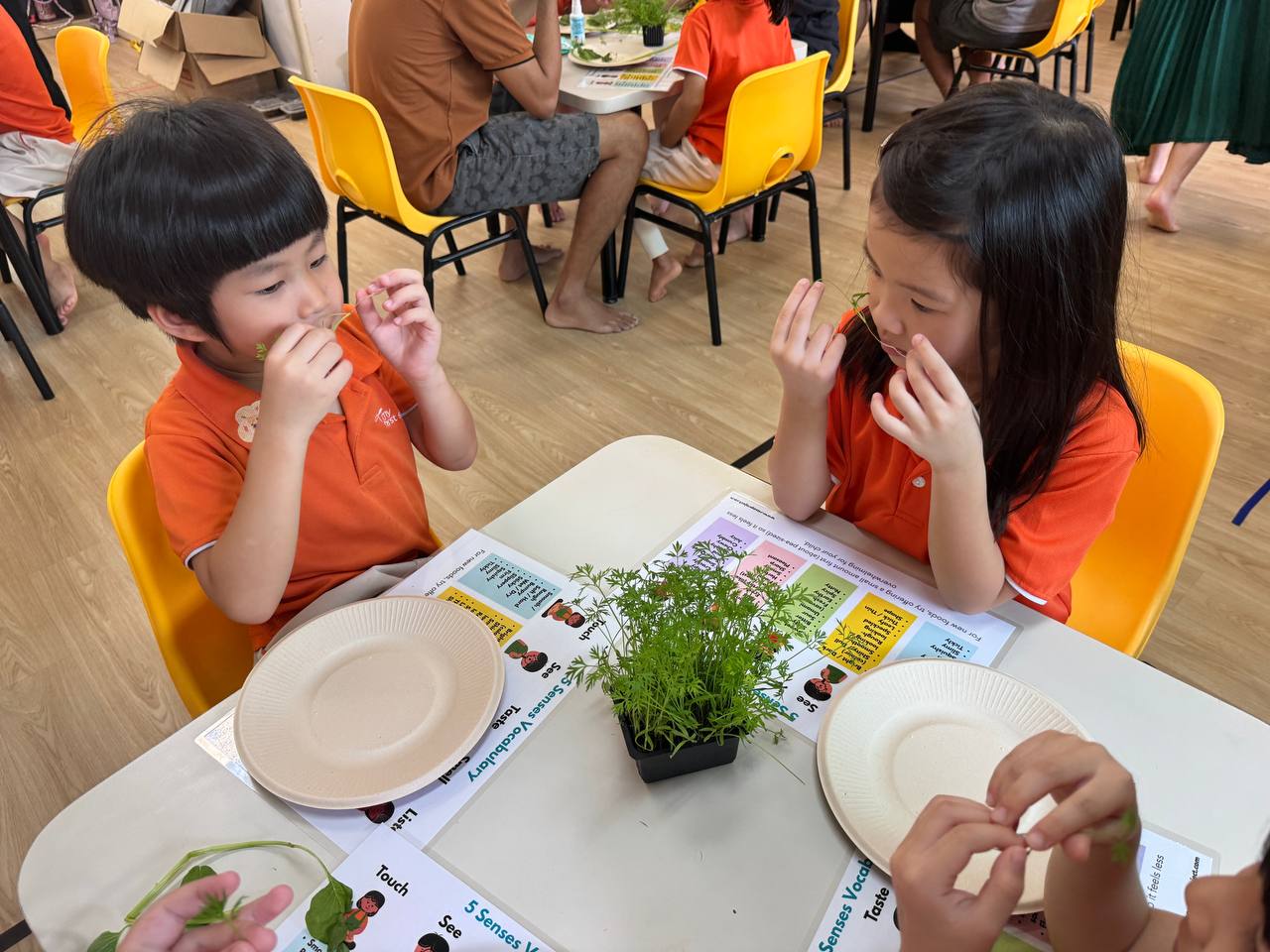 🐛 Becoming Eco Food Heroes with the Rasa Project! 🌿🍽️ — photo 8
