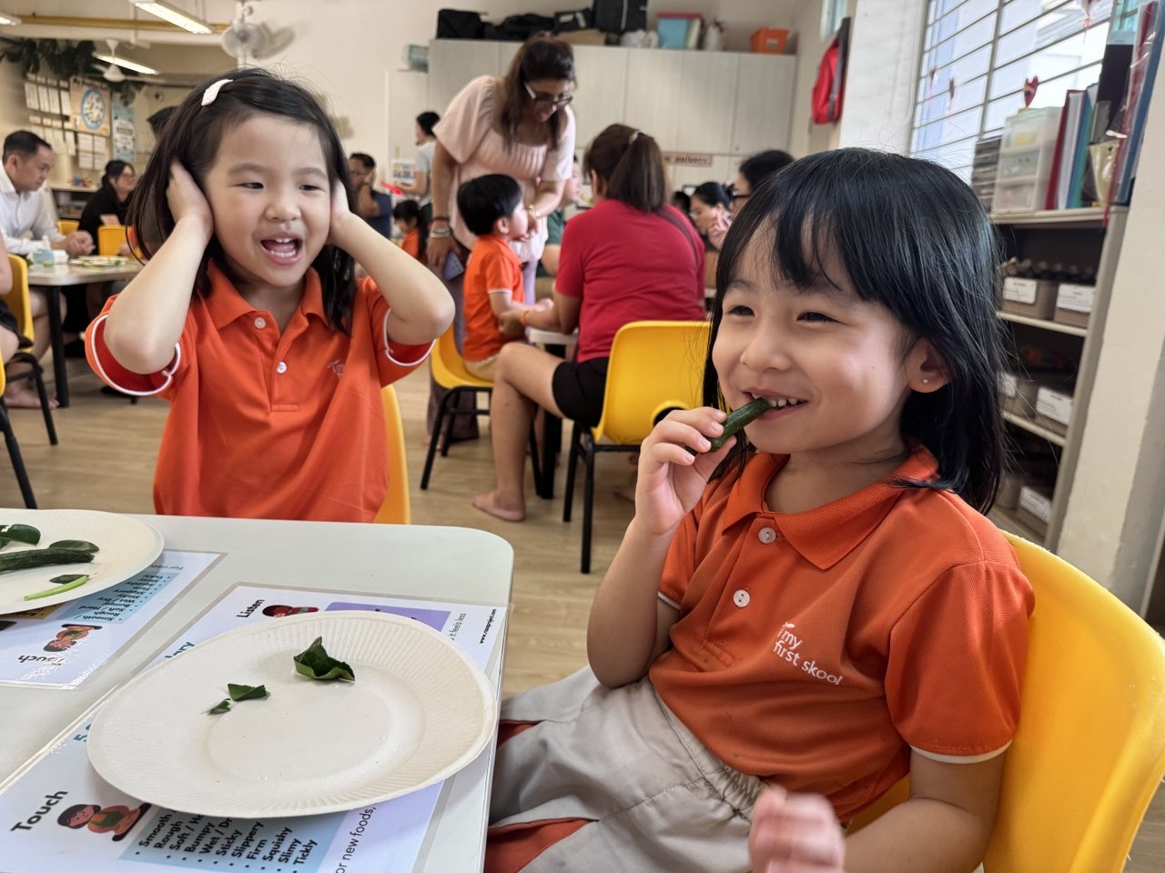 🐛 Becoming Eco Food Heroes with the Rasa Project! 🌿🍽️ — photo 9