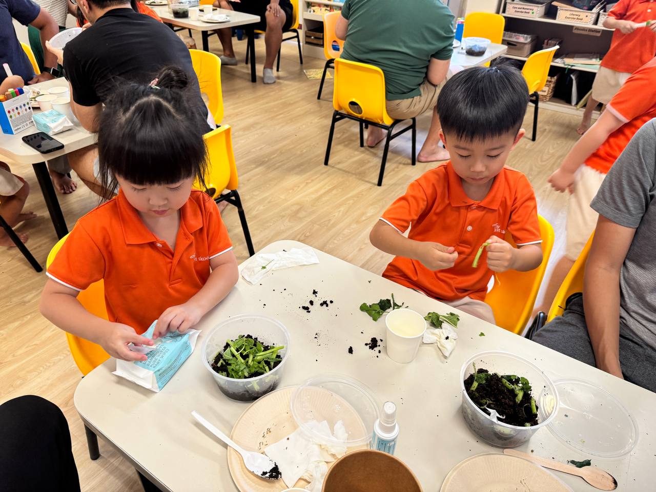 🐛 Becoming Eco Food Heroes with the Rasa Project! 🌿🍽️ — photo 10
