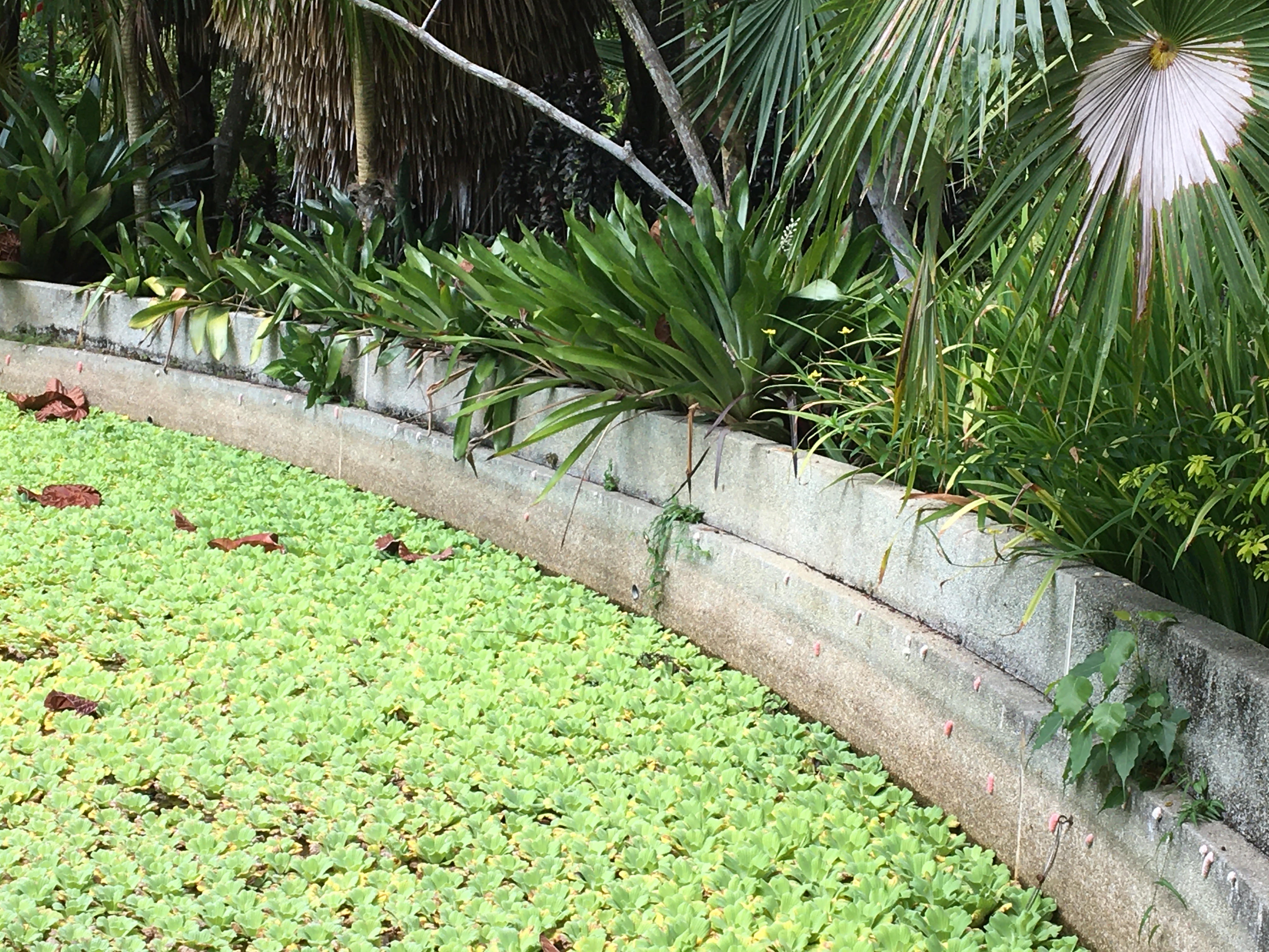Caring for the Environment — photo 2