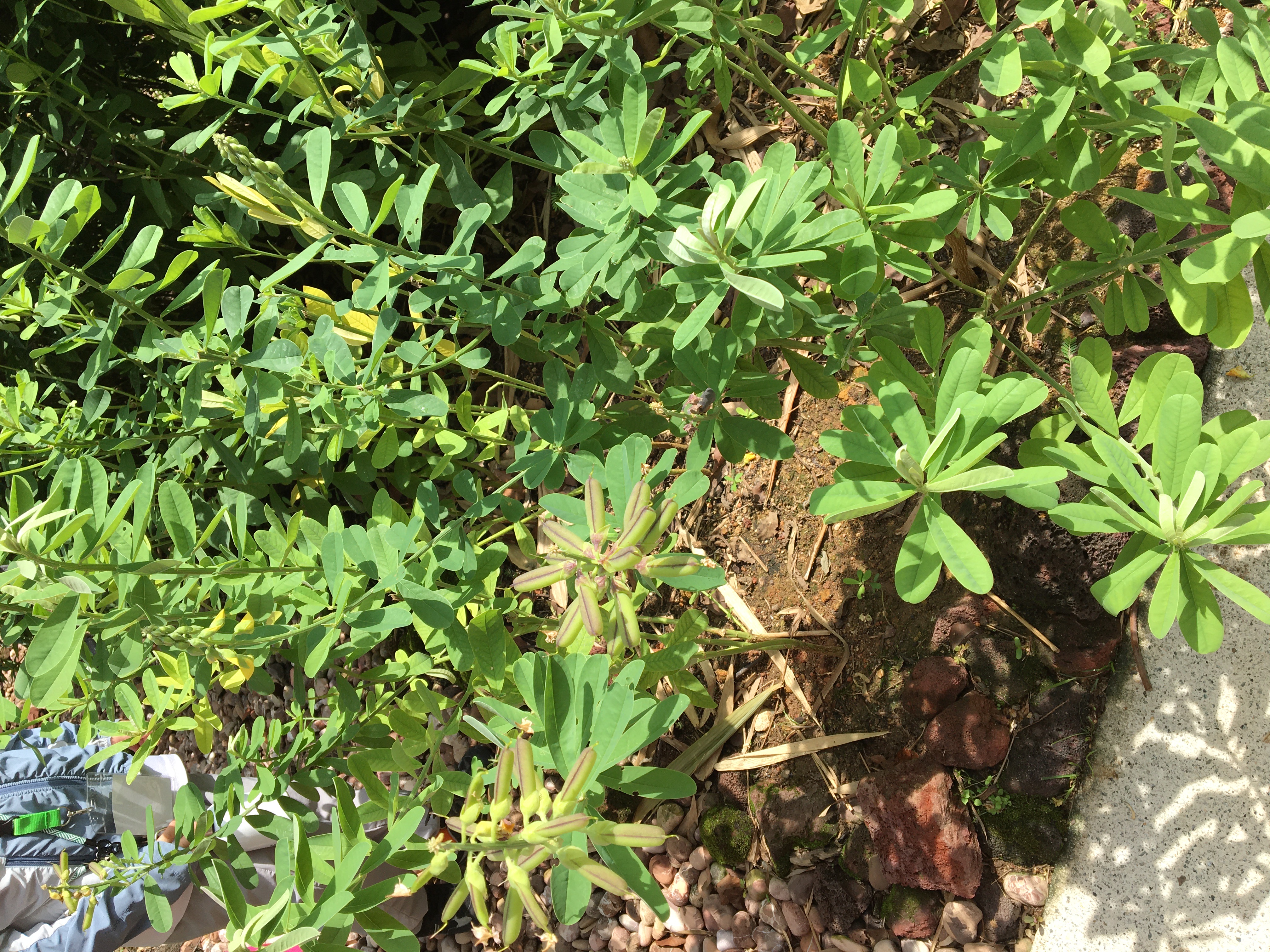 Caring for the Environment — photo 3