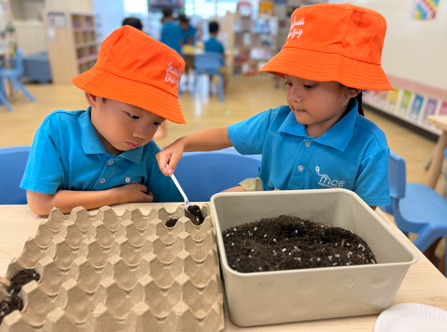 Tiny Seeds to Big Dreams — photo 9