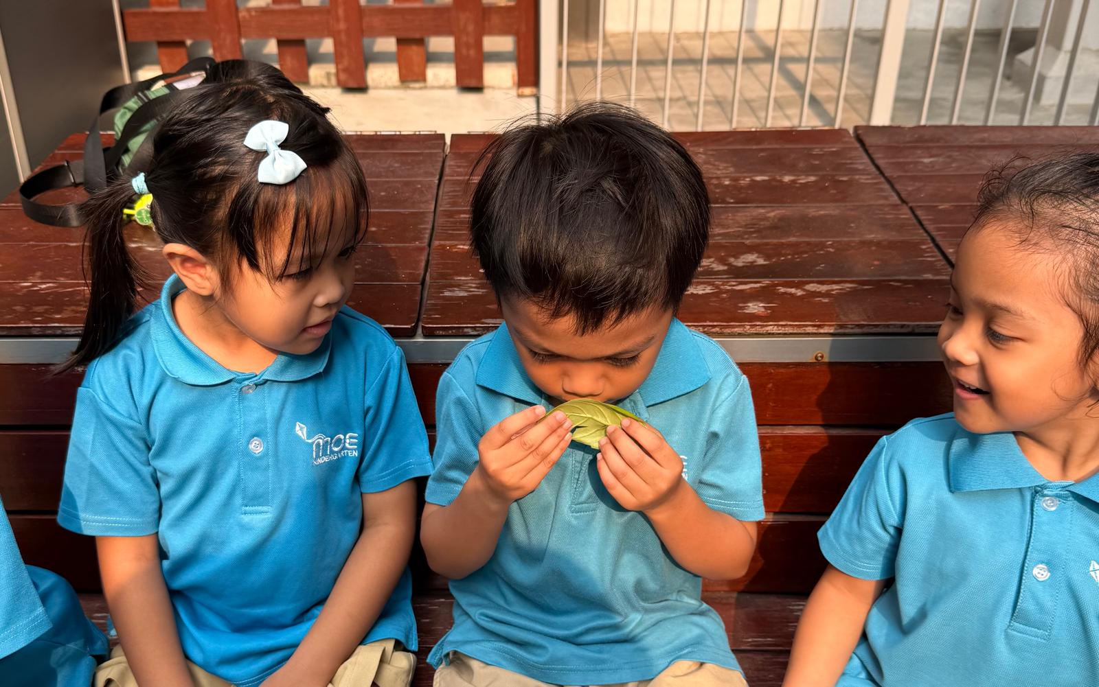 Tiny Seeds to Big Dreams — photo 23