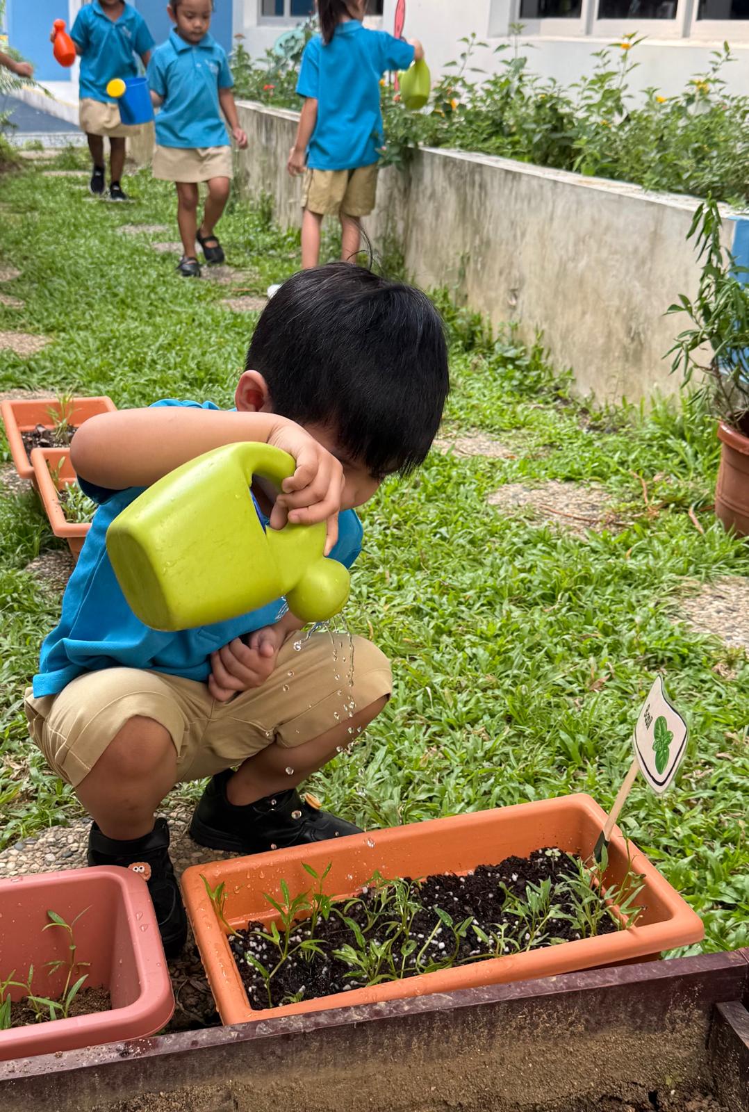 Tiny Seeds to Big Dreams — photo 25
