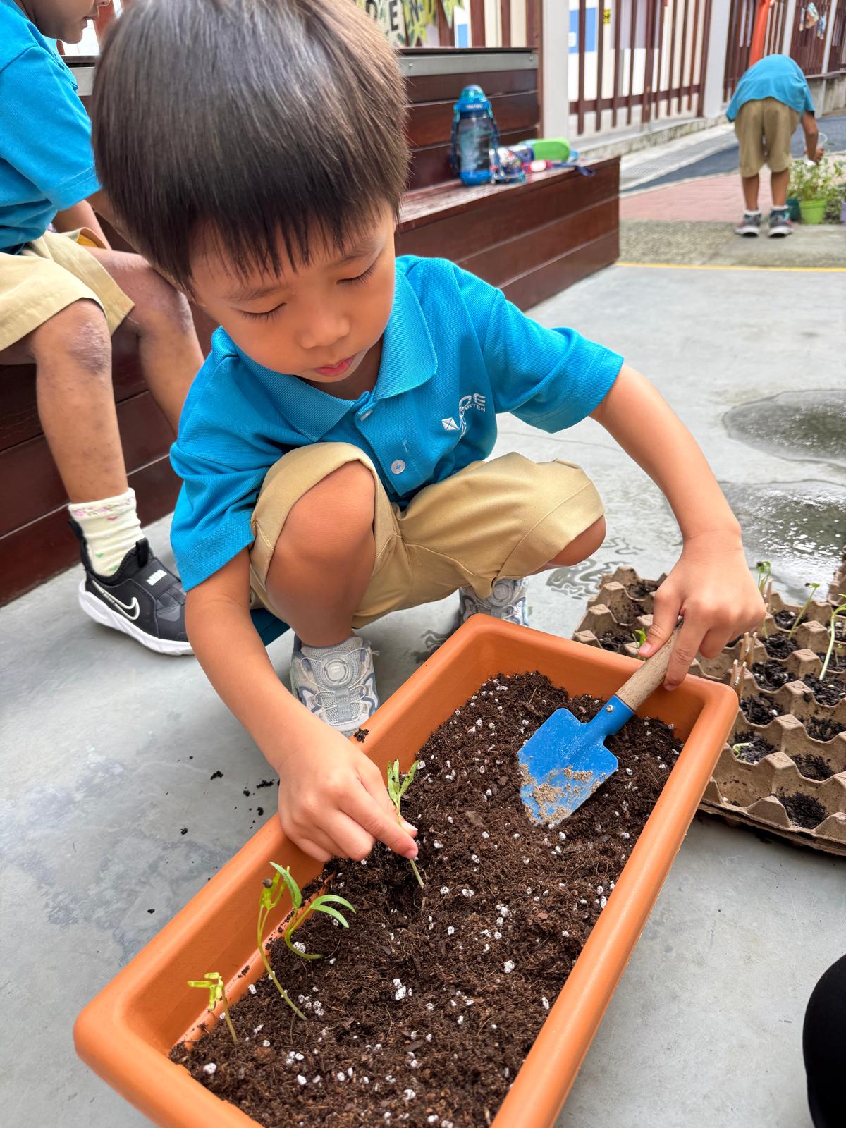 Tiny Seeds to Big Dreams — photo 27