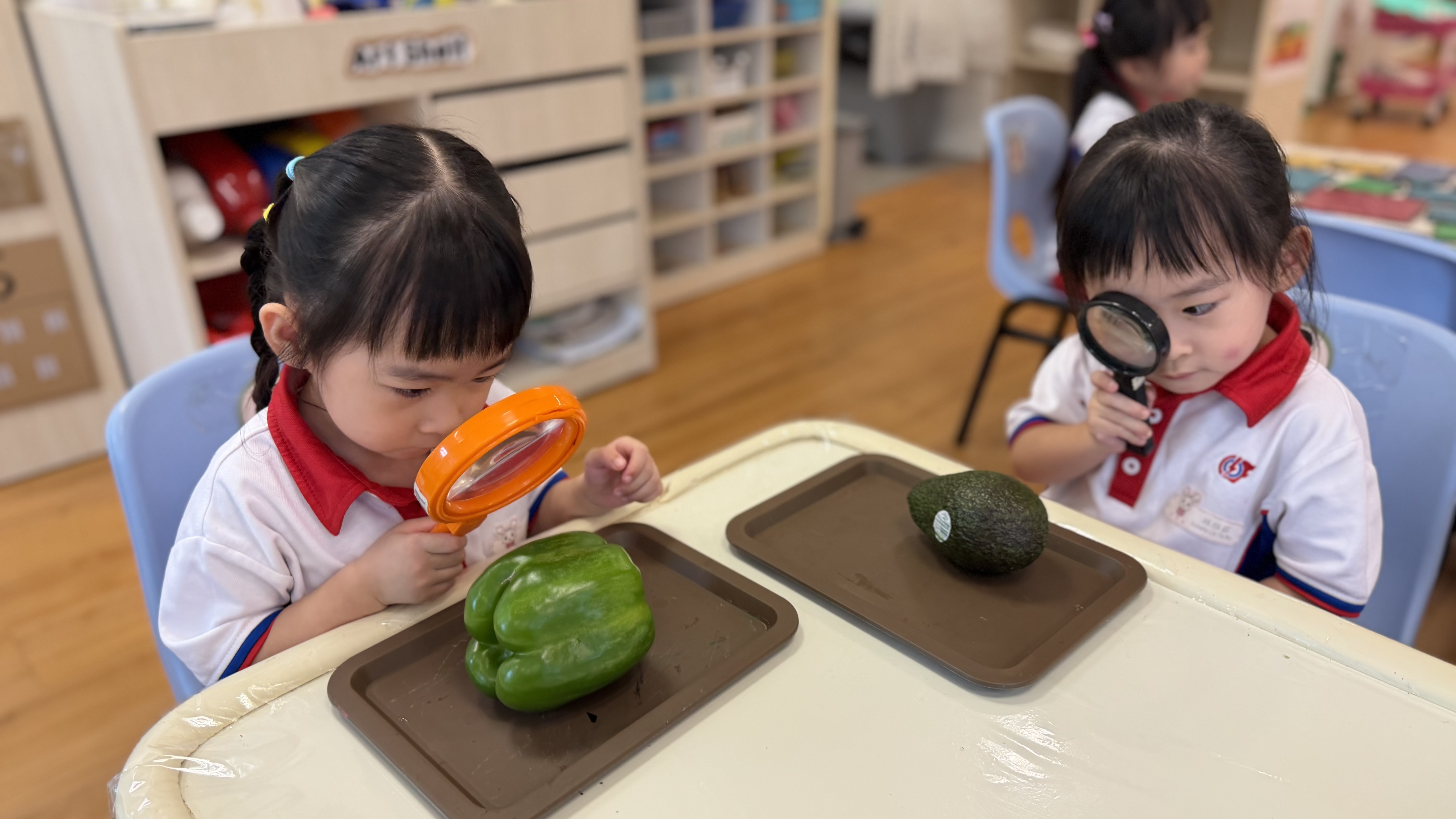 LITTLE FOOD HEROES: Learning Through Exploration — photo 5