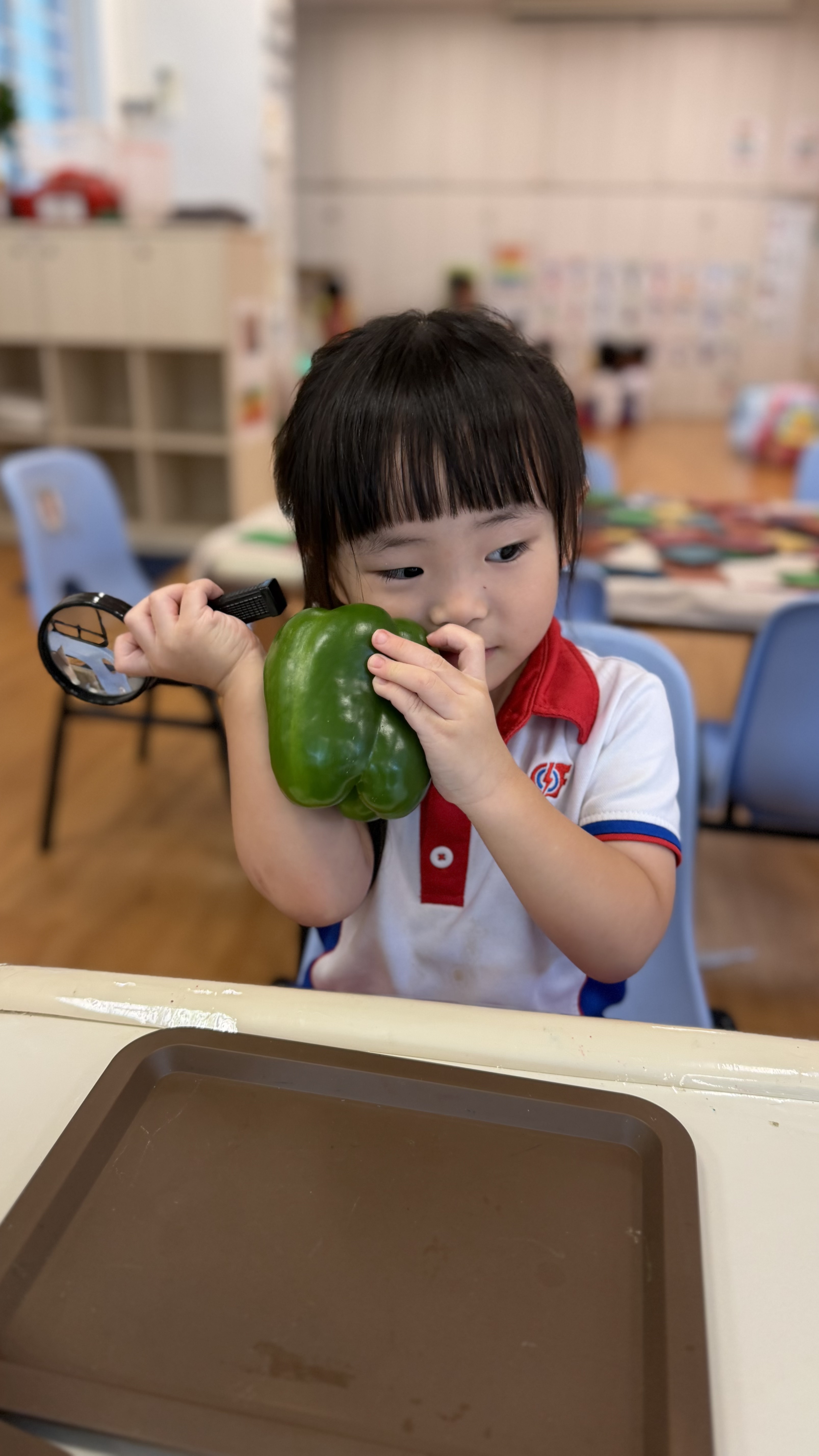 LITTLE FOOD HEROES: Learning Through Exploration — photo 7