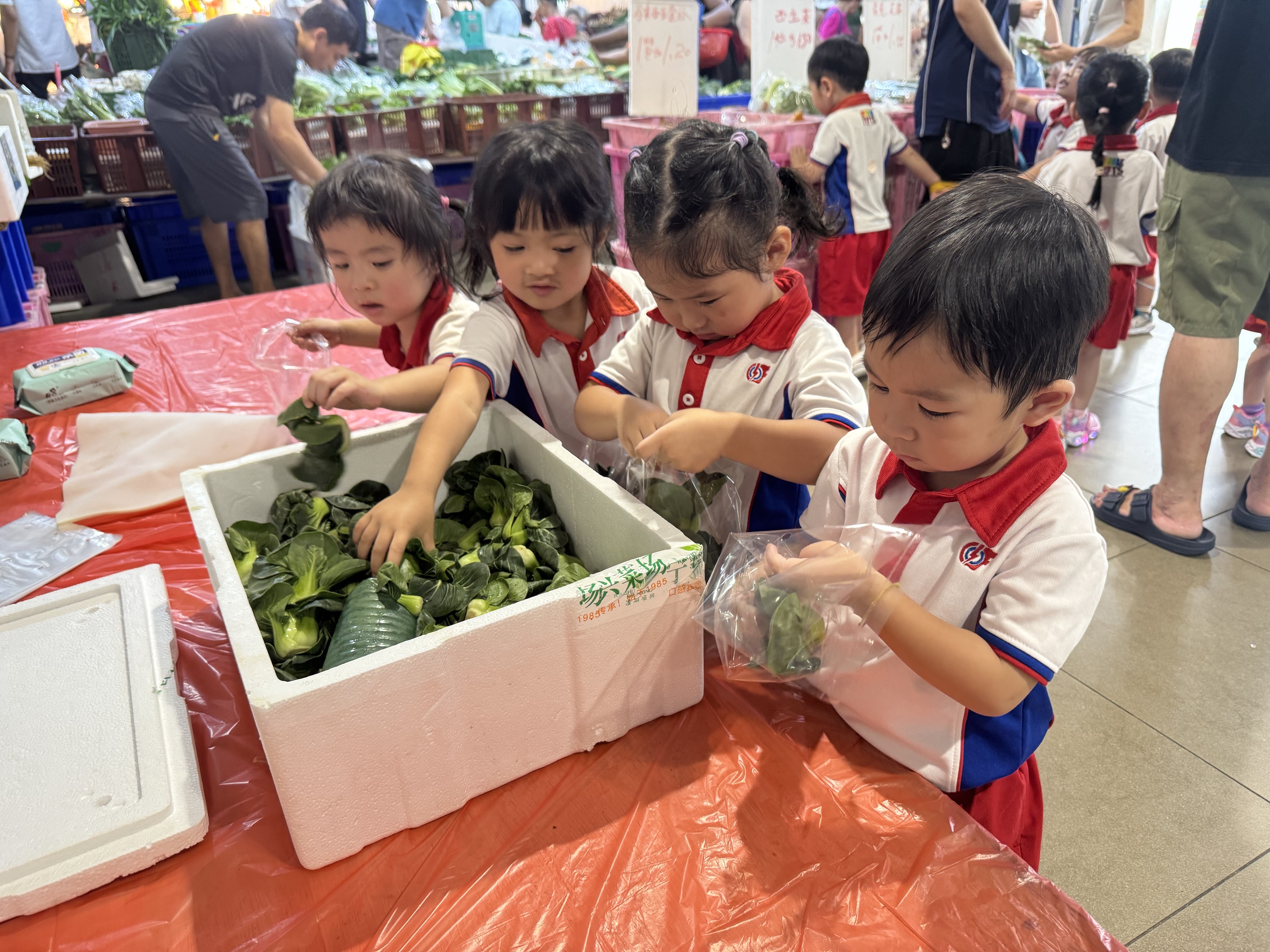 LITTLE FOOD HEROES: Learning Through Exploration — photo 16