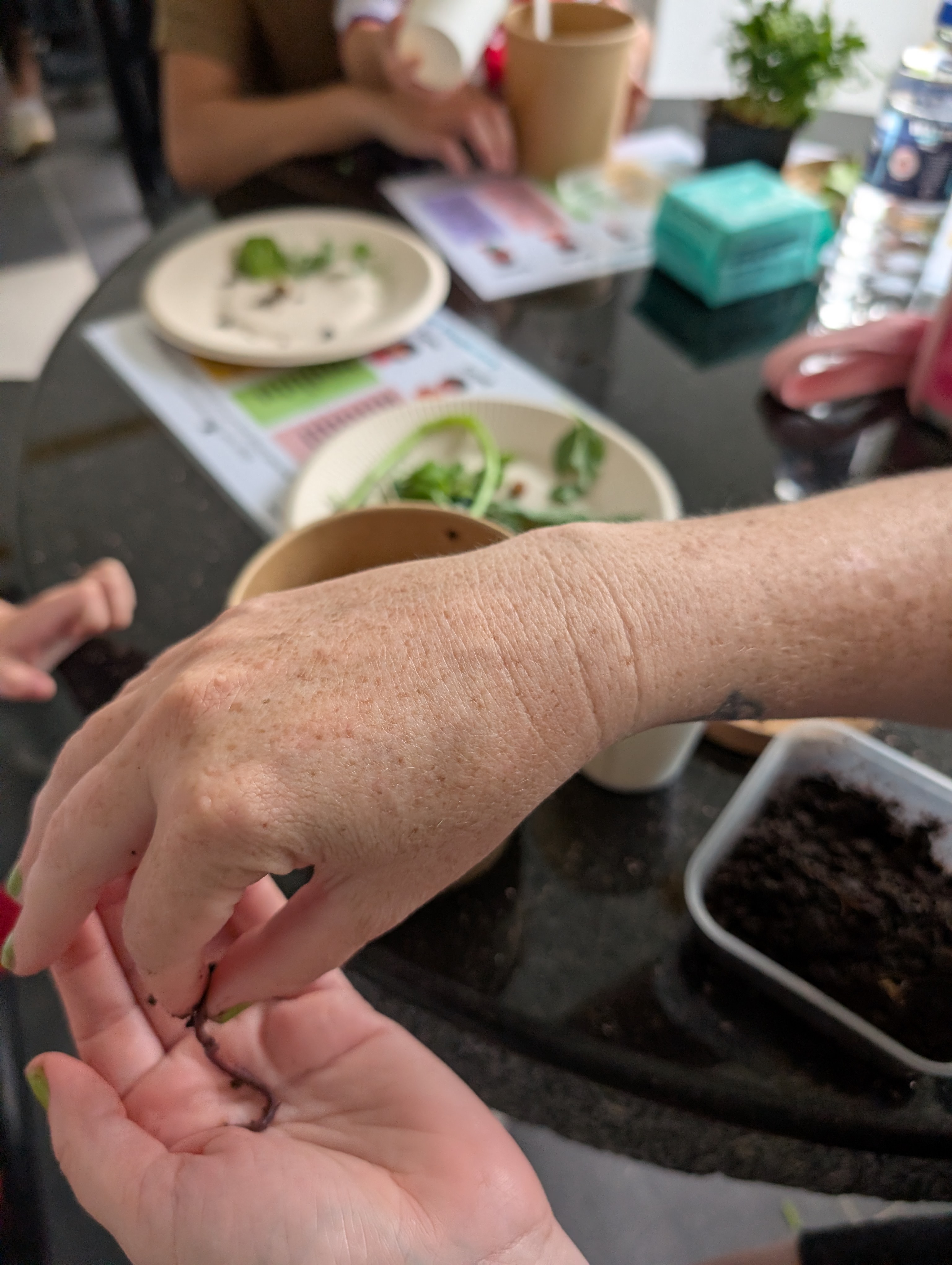 Little Growers, Greener Choices — photo 3