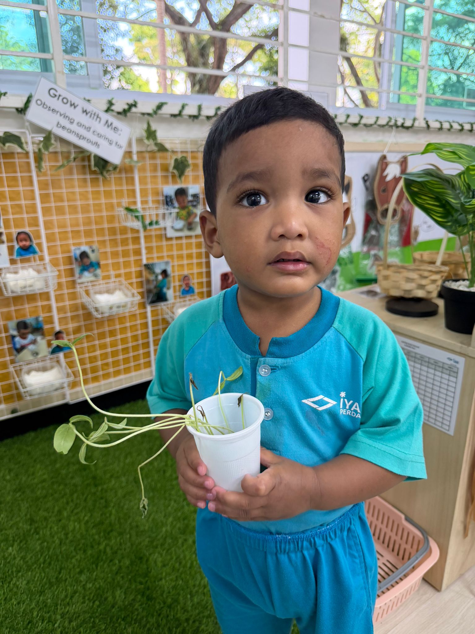 SSDB PROJECT — Go Green SG 2026! — photo 3