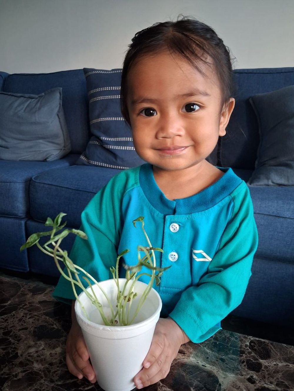 SSDB PROJECT — Go Green SG 2026! — photo 4