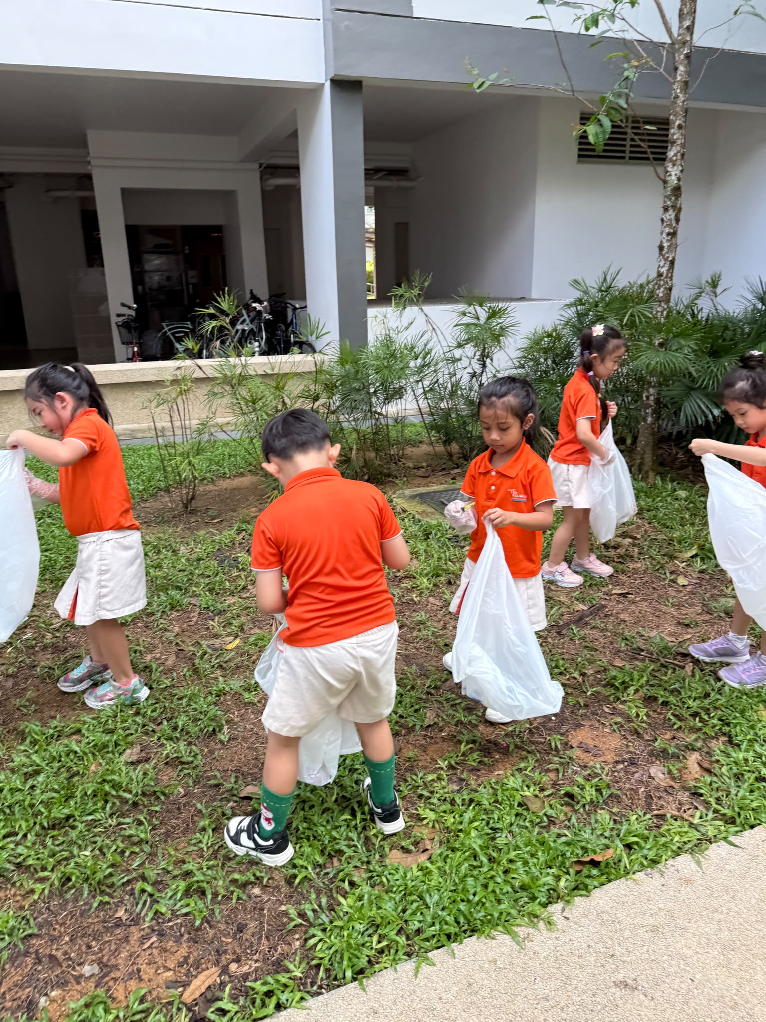 Litter Picking, Public Hygiene Council