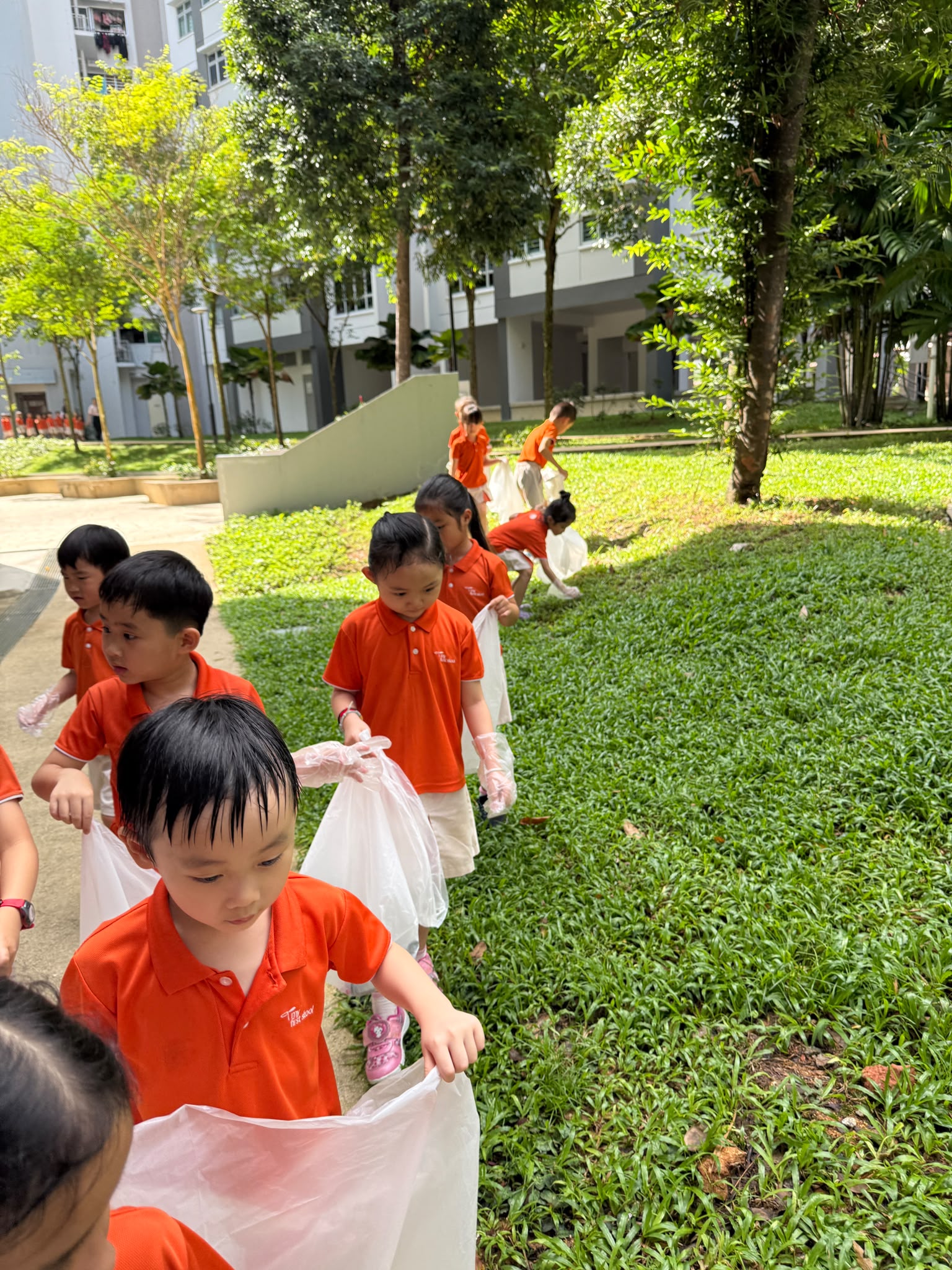 Litter Picking, Public Hygiene Council — photo 3
