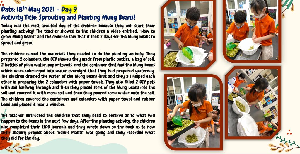 🌱Planting 🥗Edible Plants/Vegetables using our Recycled Pots and Planters!🌿