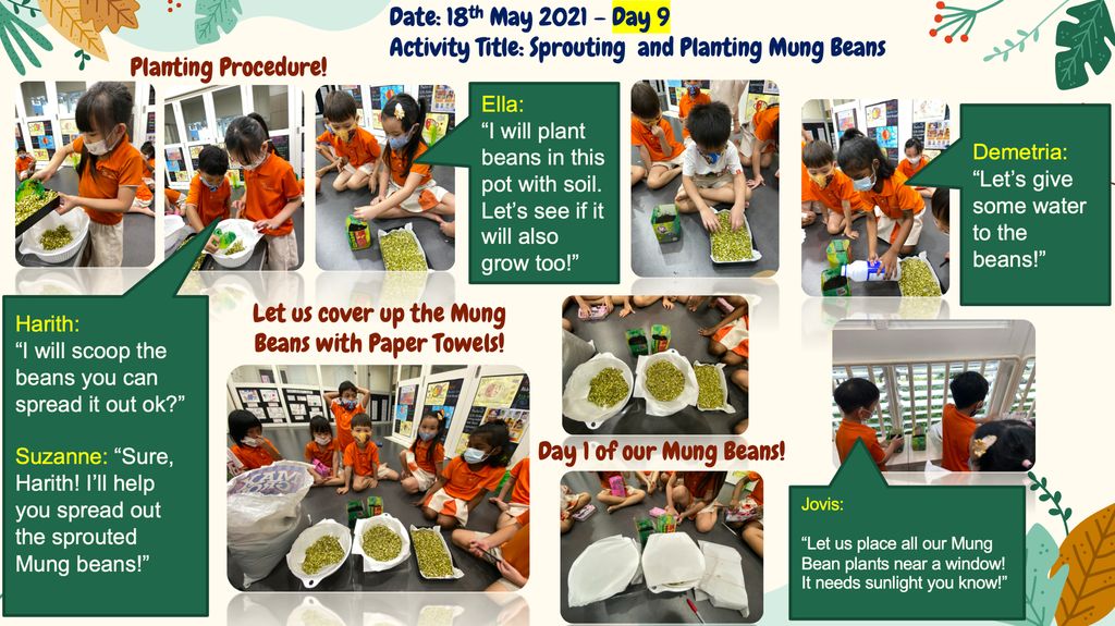 🌱Planting 🥗Edible Plants/Vegetables using our Recycled Pots and Planters!🌿 — photo 2