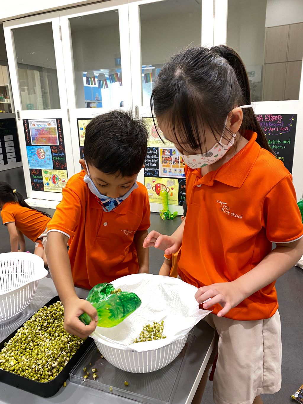 🌱Planting 🥗Edible Plants/Vegetables using our Recycled Pots and Planters!🌿 — photo 9