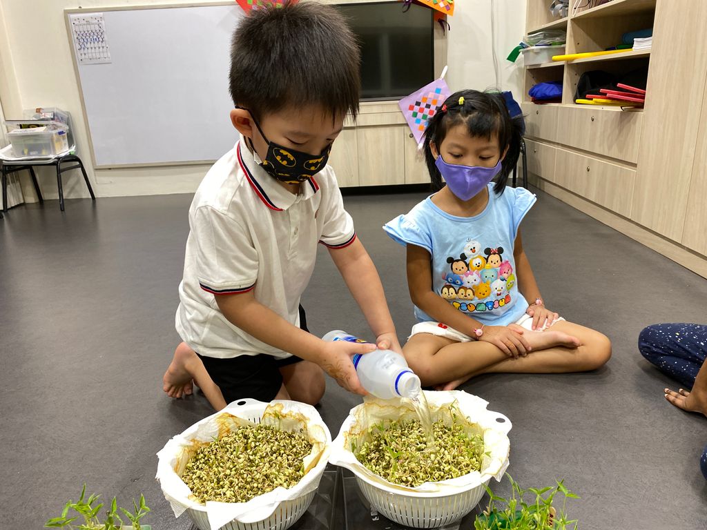 🌱Planting 🥗Edible Plants/Vegetables using our Recycled Pots and Planters!🌿 — photo 11